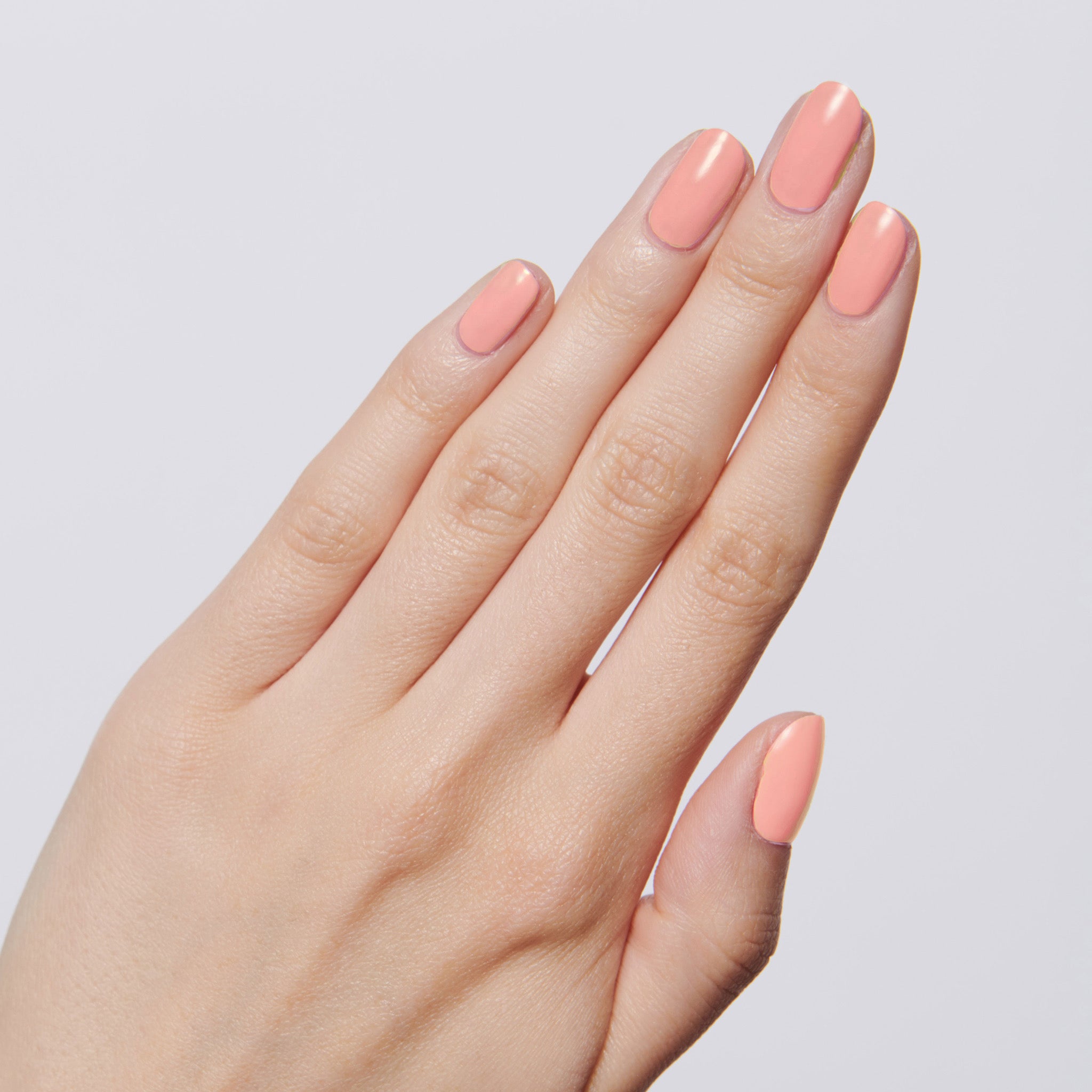 CS - Part of Set、mySite、solidvoid