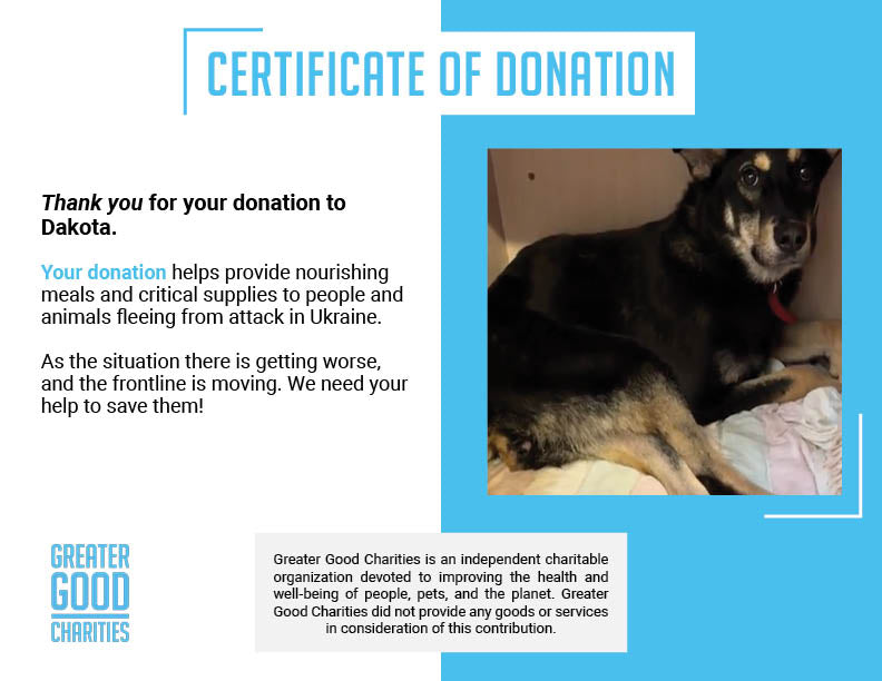 Funded: Help Dakota Walk Again After Being Hit By Vehicle Near Frontlines、mySite、camillekostekn