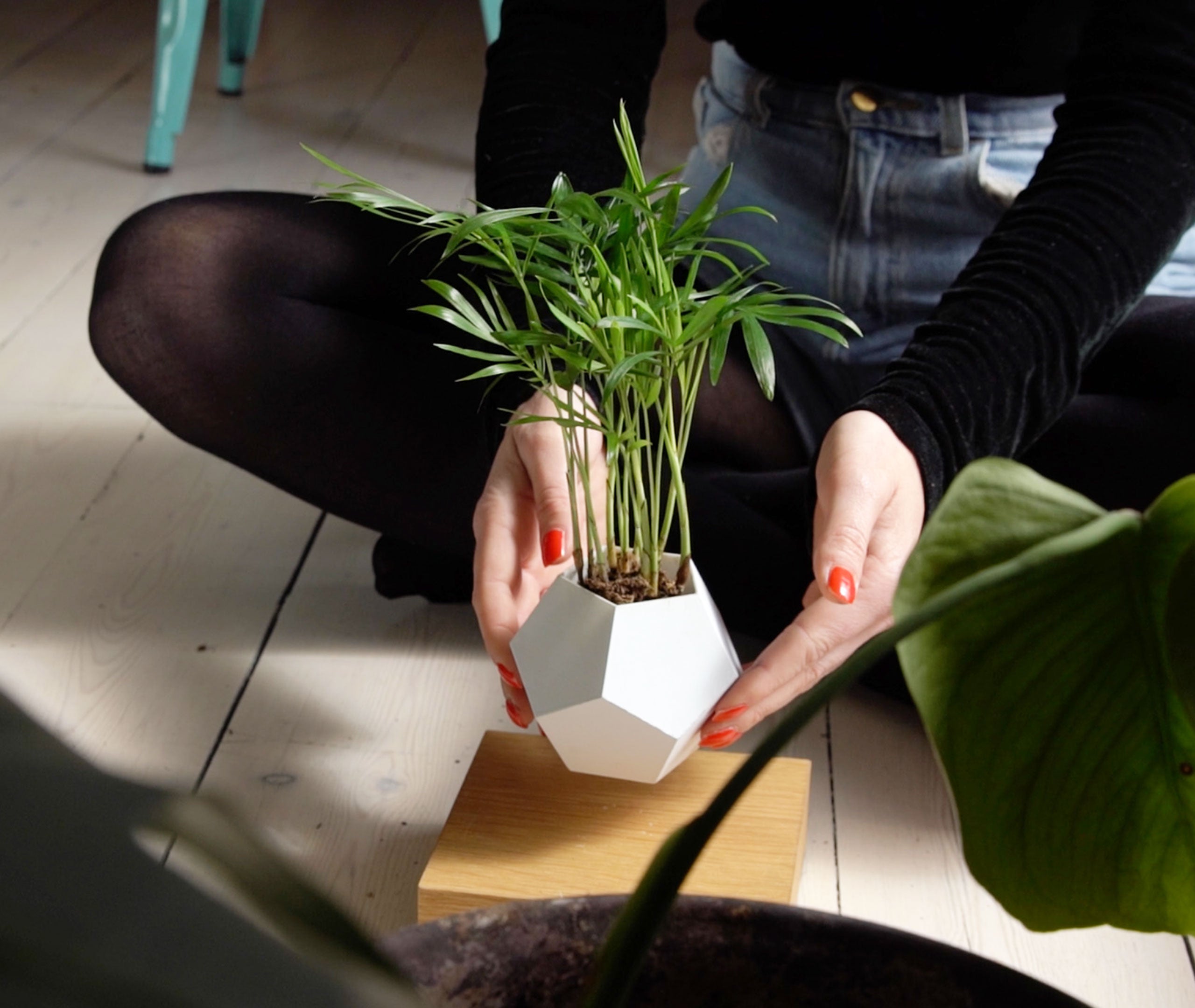 Lyfe Planter - Oak、mySite、topwebapps