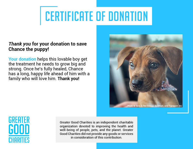 Funded - Give Chance A Chance: Fund Emergency Blood Transfusion、mySite、camillekostekn