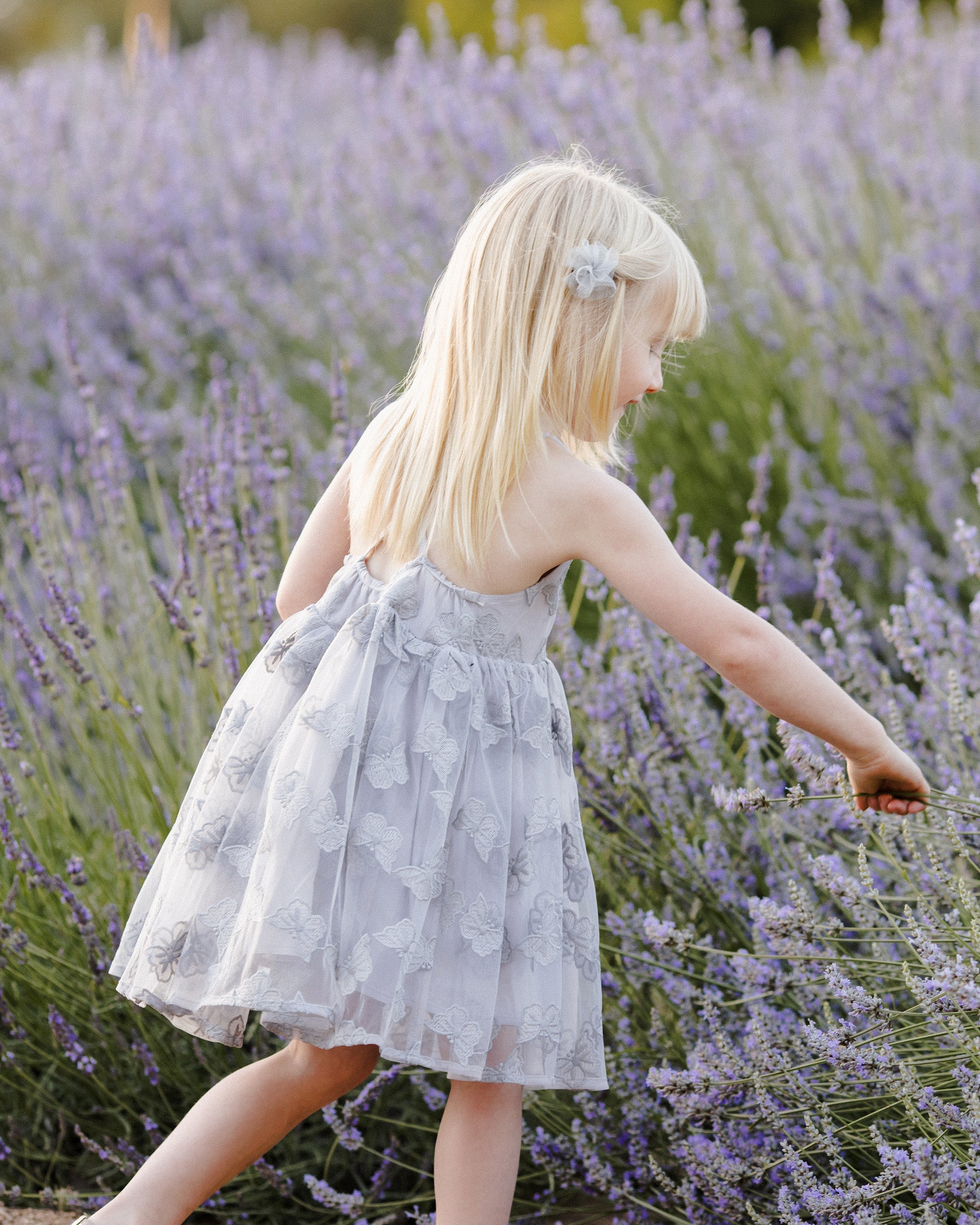  Pippa Dress | Periwinkle、mySite、layawaytickets