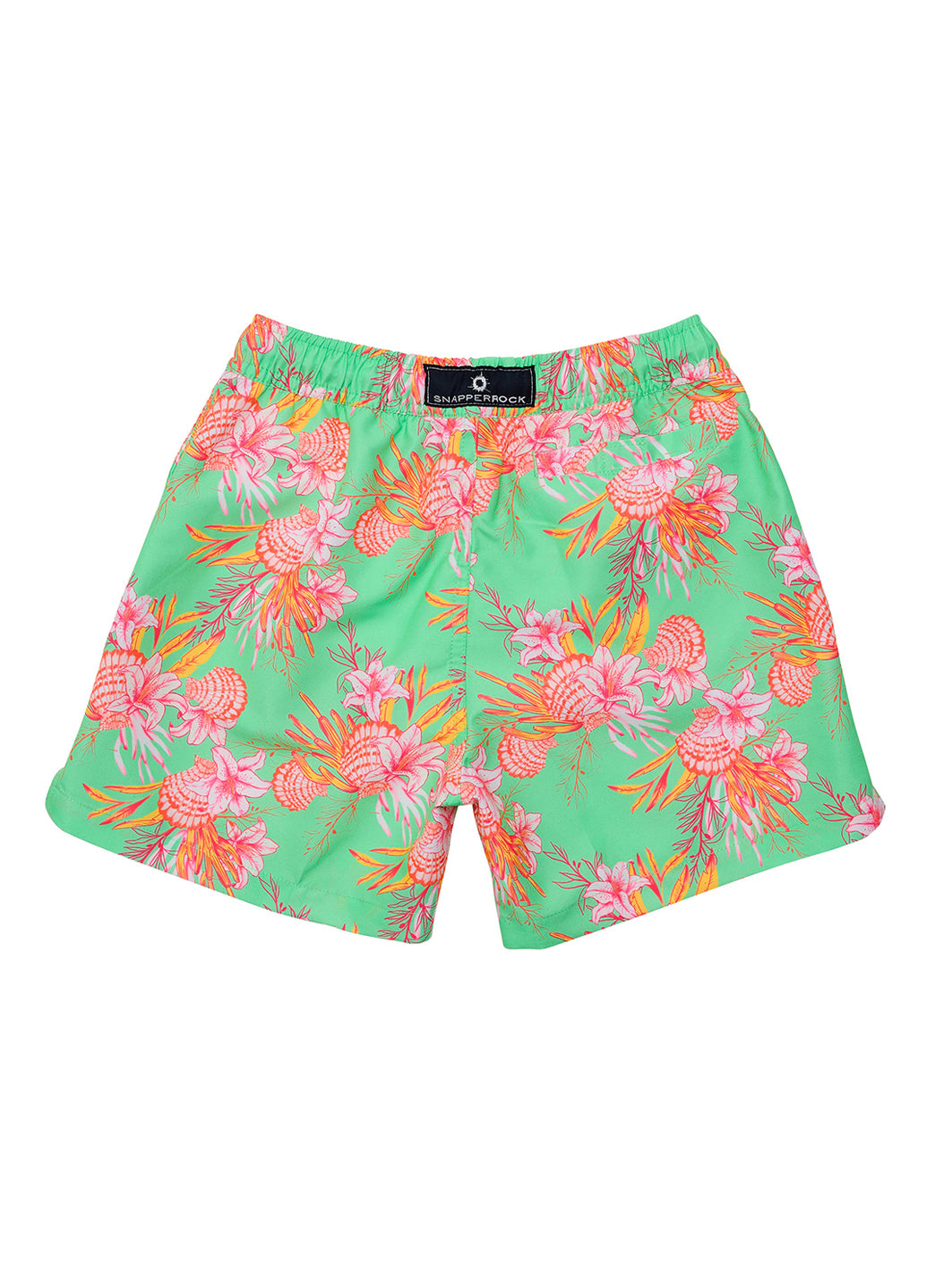 Snapper Rock Boys' Coastal Shells Swim Trunk (Toddler, Little Kid, Big Kid)、mySite、noshort