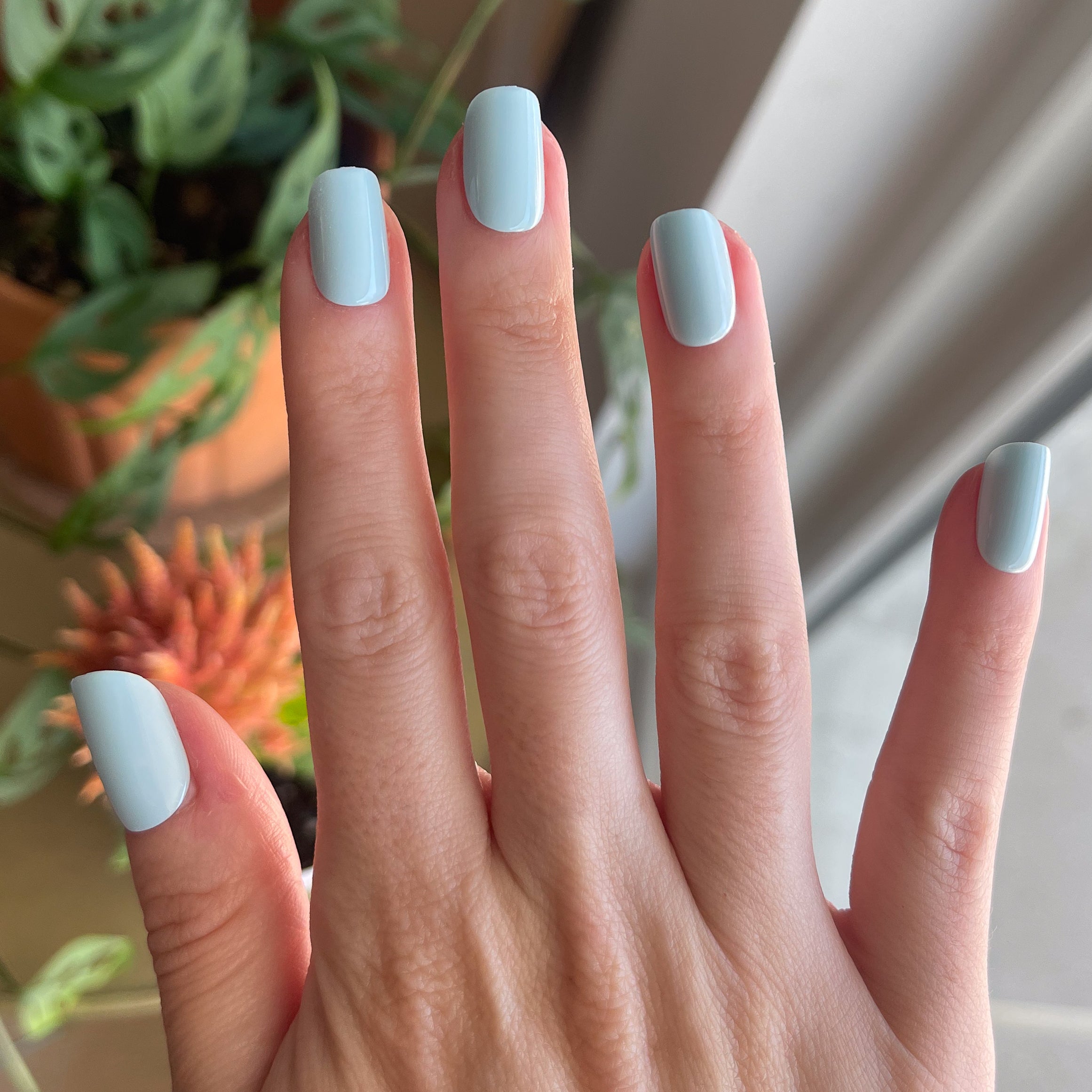 Honest & True - Press-On | Short | Squoval、mySite、solidvoid