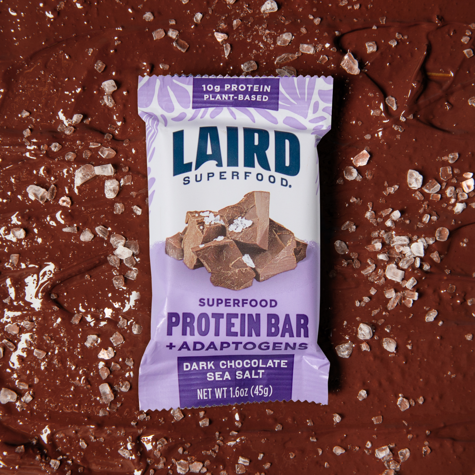 Dark Chocolate Sea Salt Protein Bar (10pck)、mySite、gigharbornorthrealestate