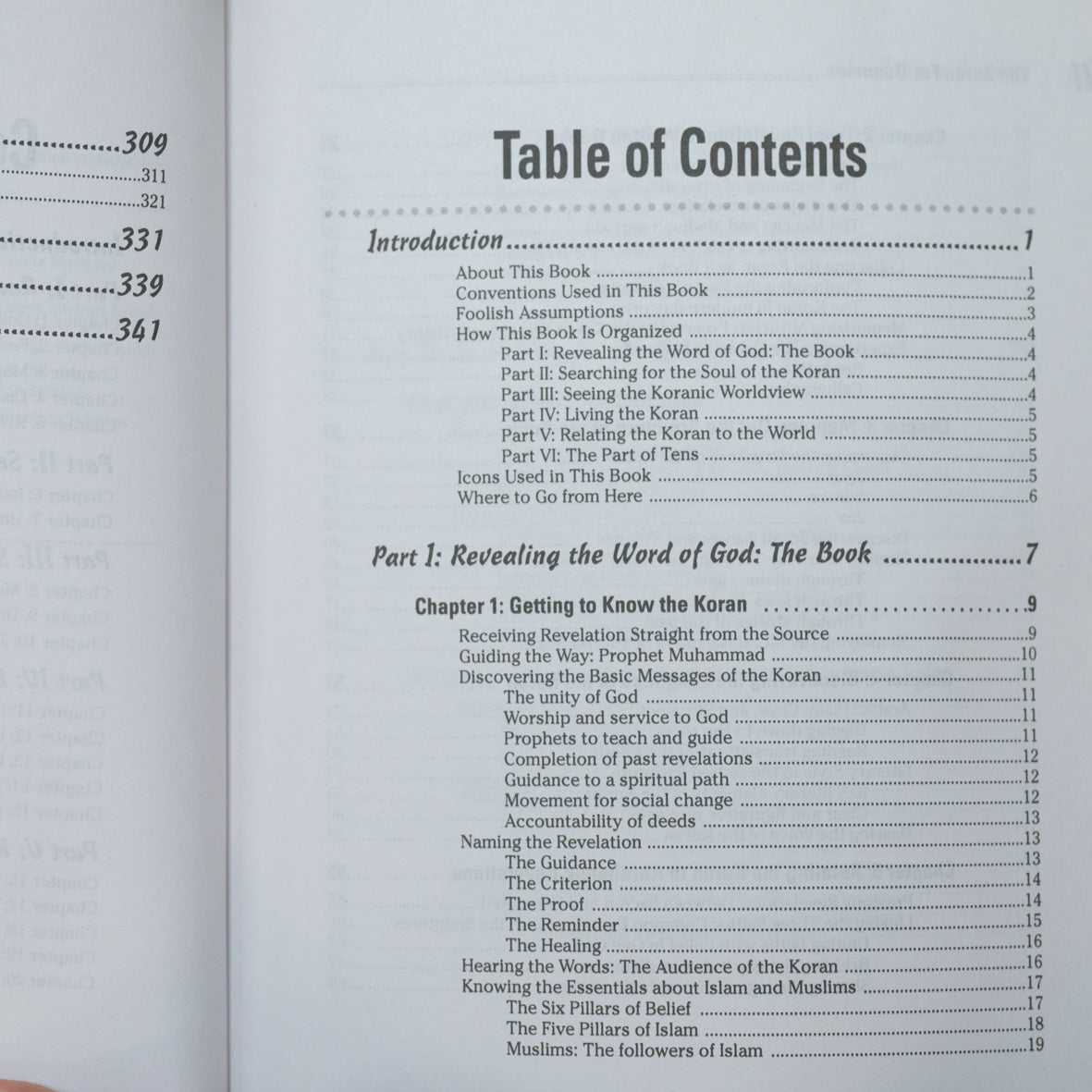 The Koran For Dummies、mySite、topwebapps