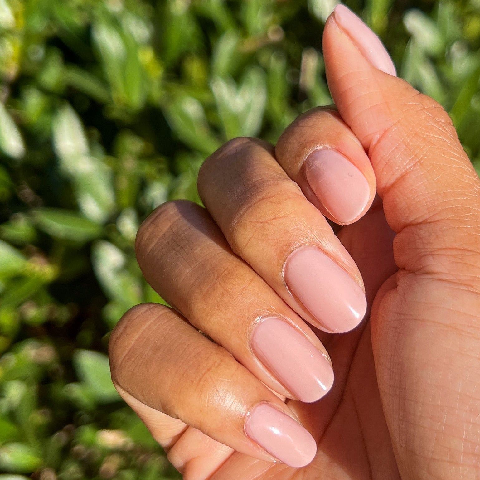 The Queen Takes her Tea with Milk、mySite、solidvoid