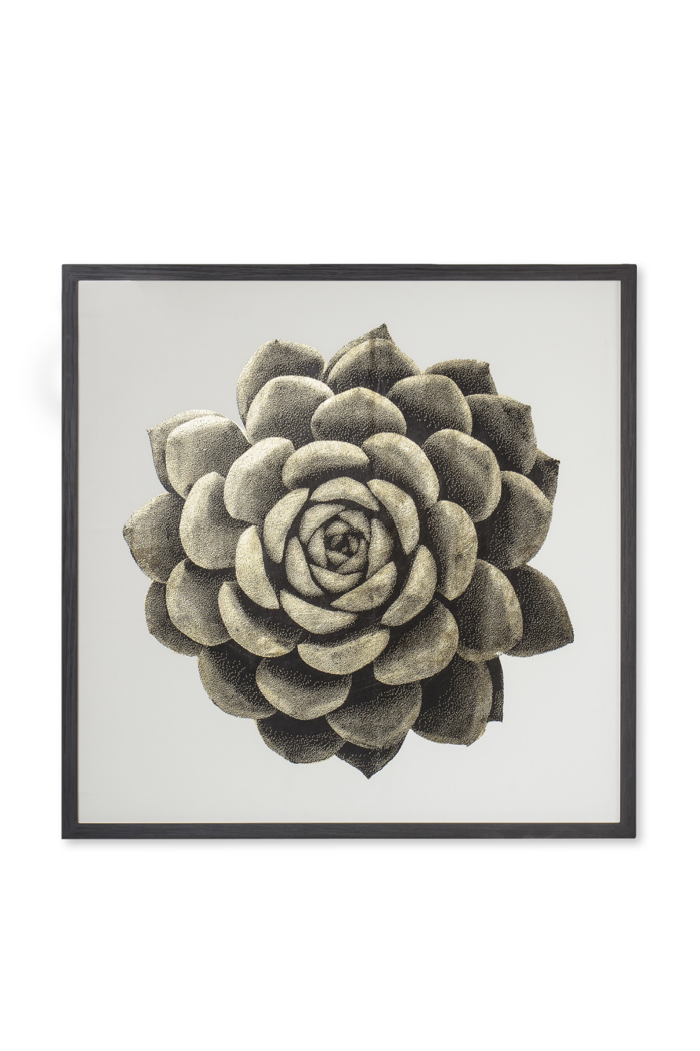 Contemporary Nature Wall Art | Andrew Martin Gold Succulent、mySite、neckold