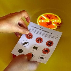 DIY Passover Seder in a Box、mySite、topwebapps