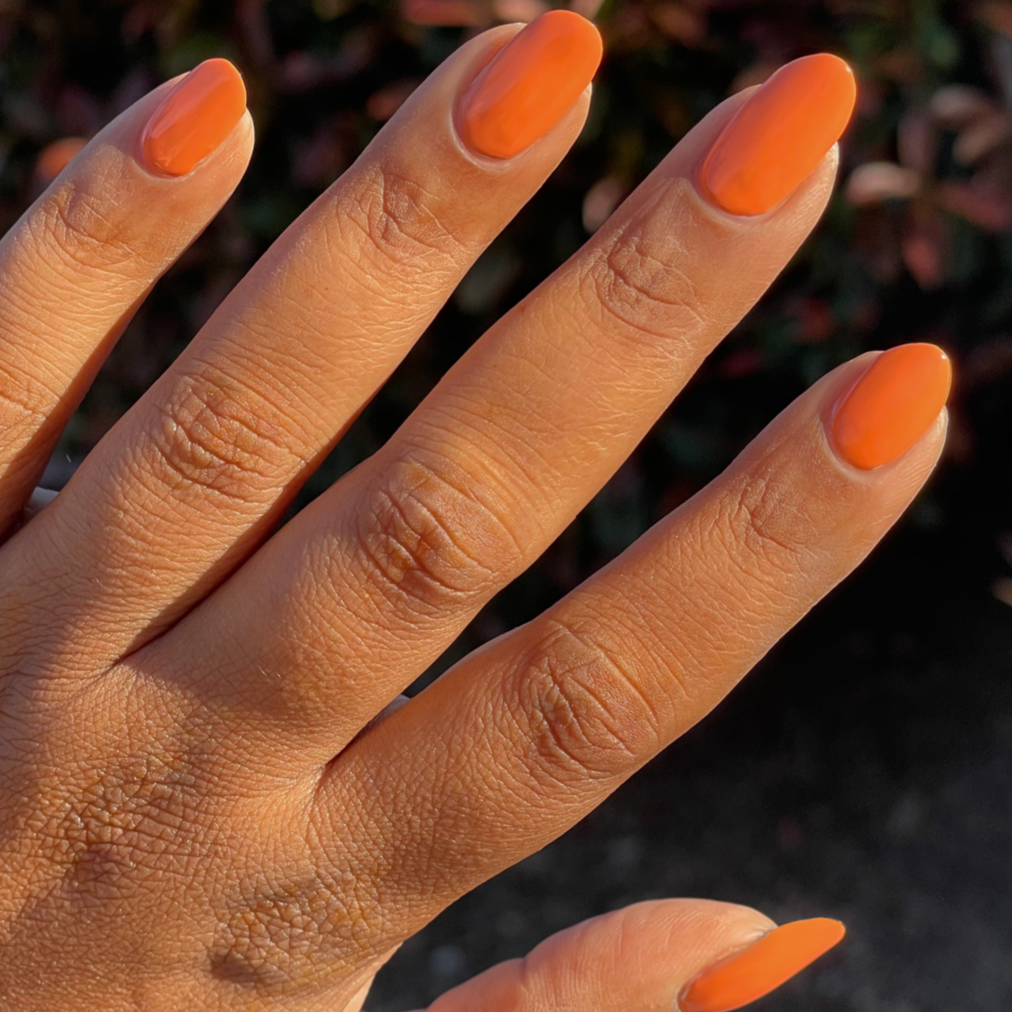 Bounce Back、mySite、solidvoid