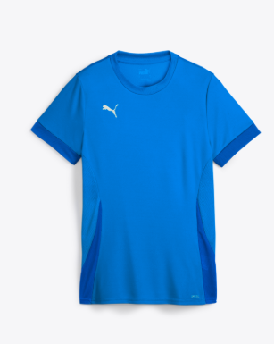 Puma-TEAMGOAL MATCHDAY JERSEY-Royal Blue、mySite、noshort