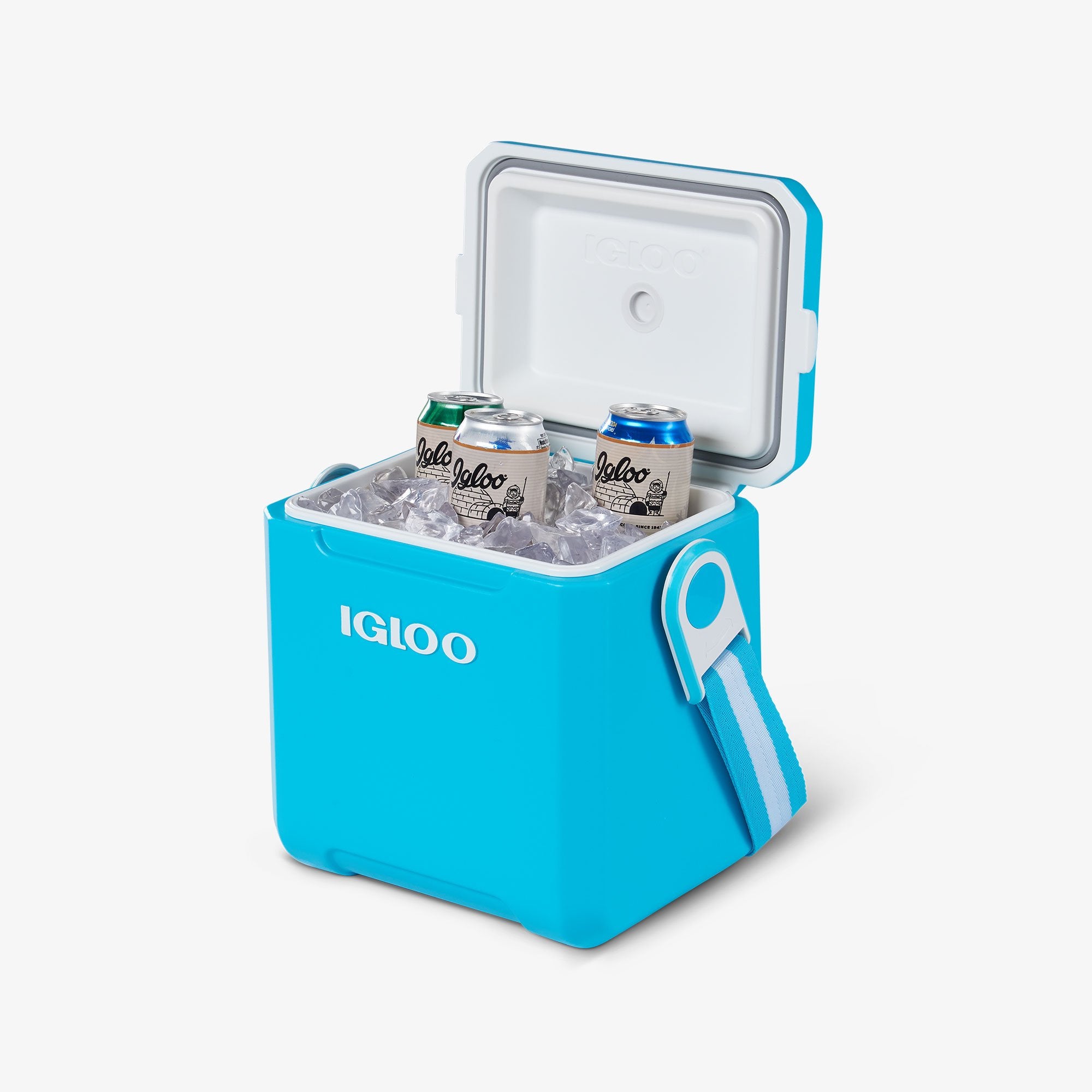 Tag Along Too Cooler、mySite、noshort