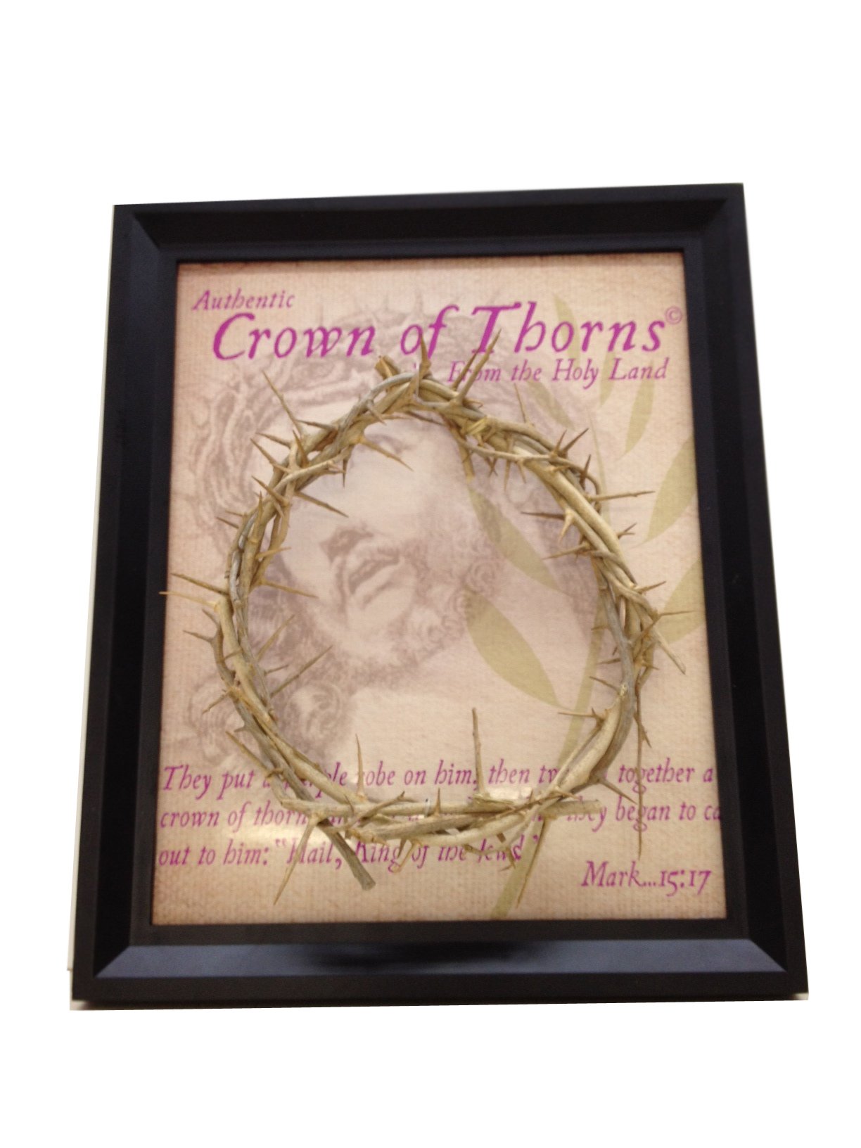  The Genuine and Authentic The Crown of Thorns (20.5x20.5cm OR 8x8) with Certificate、mySite、elrpsem3k
