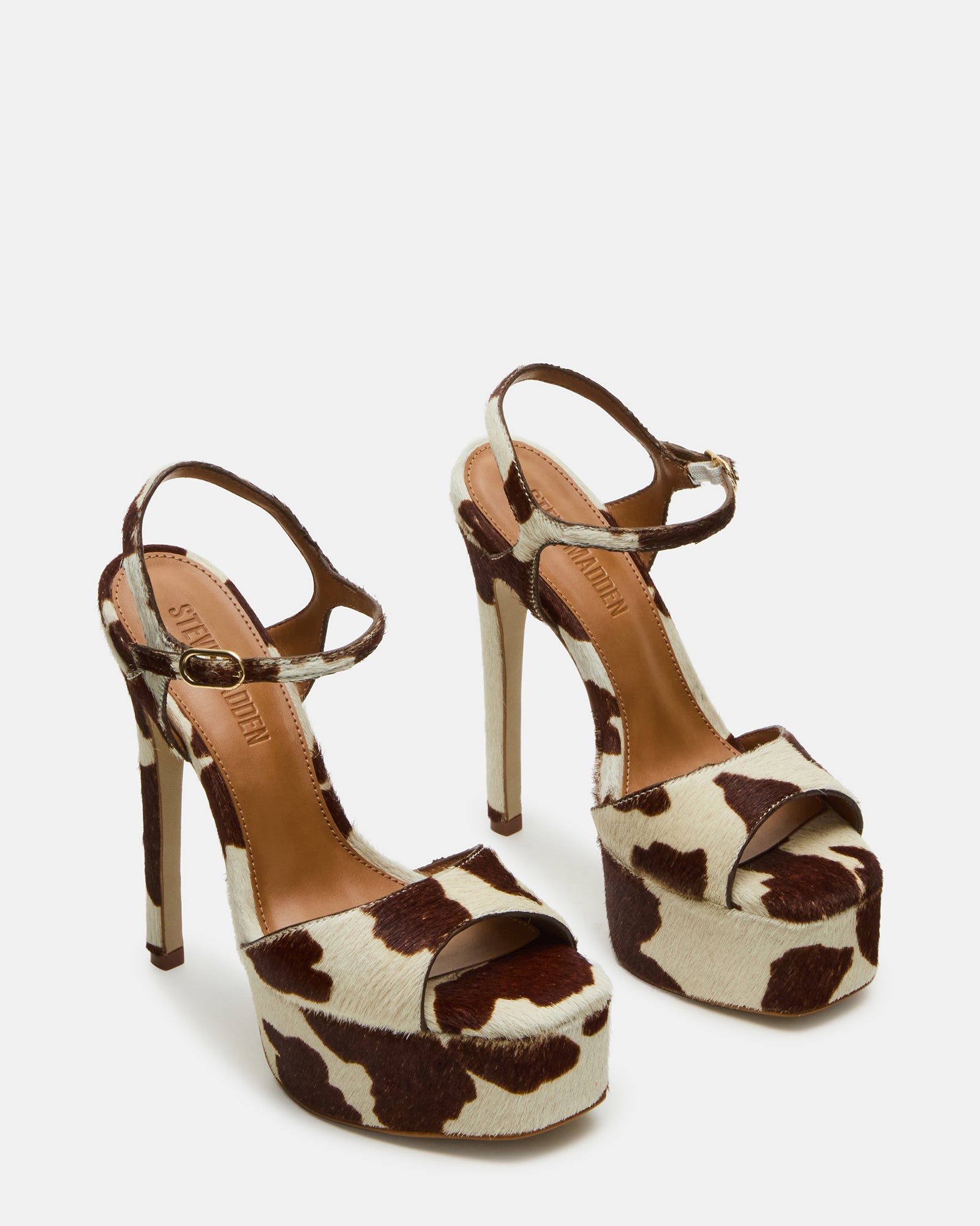 COLOGNE BROWN COW PRINT、mySite、gtrtttuynbv