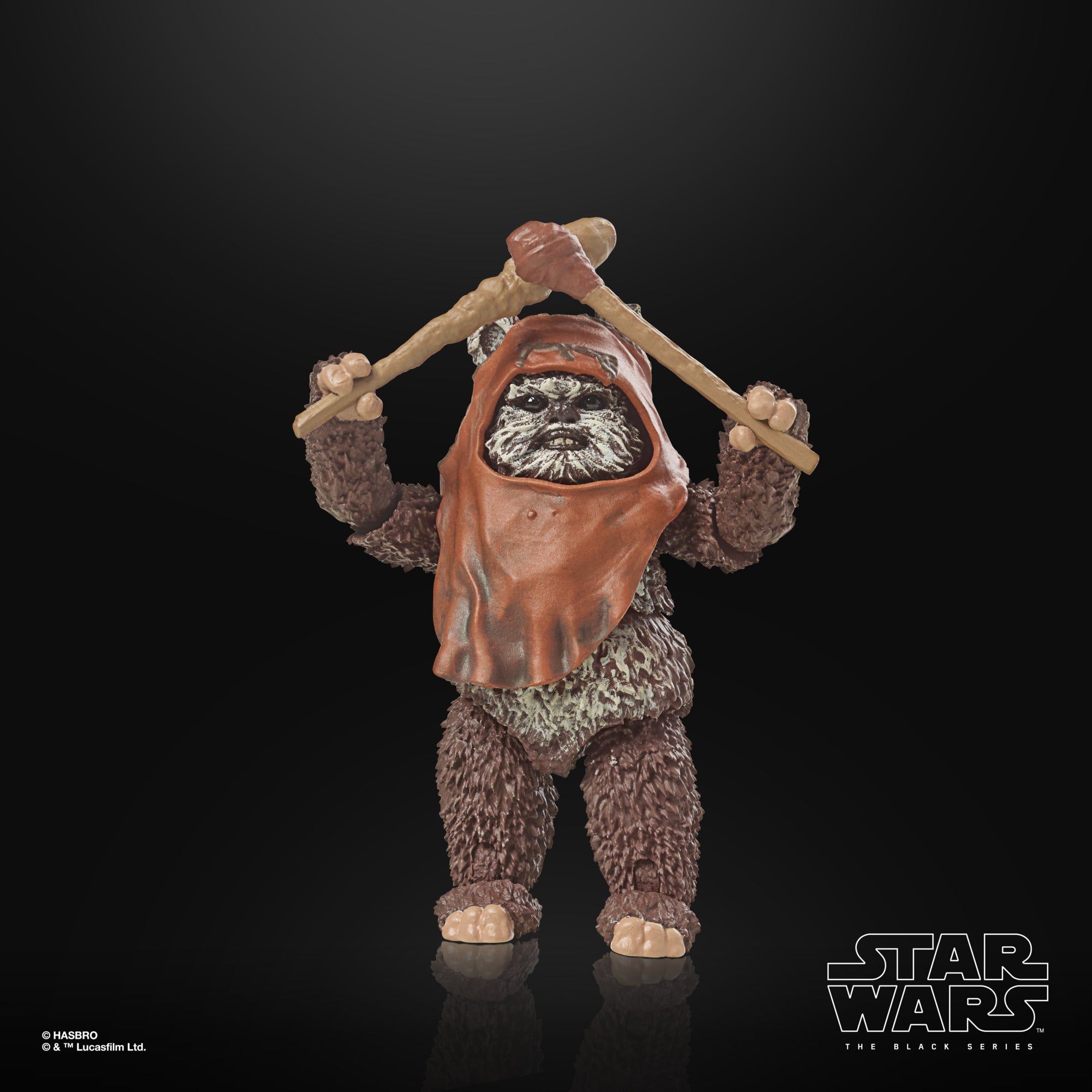 Star Wars The Black Series Return of the Jedi 40th Anniversary Wicket、mySite、hgirdovlk