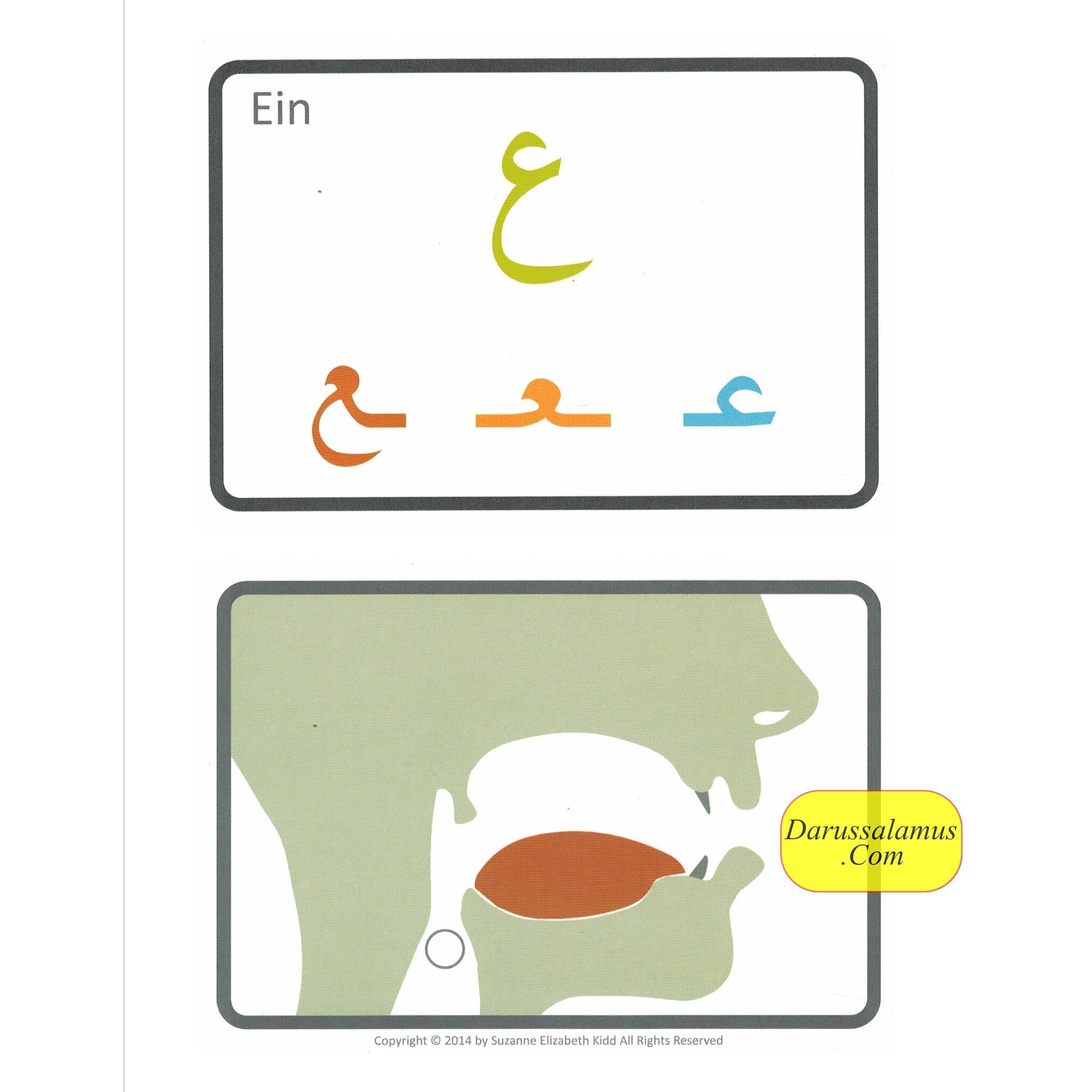 Arabic Alphabet Flash Cards By Suzanne Elizabeth Kidd、mySite、topwebapps