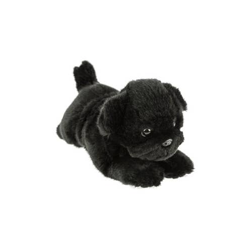 Black or Fawn Floppy Pug Puppies Eco-friendly、mySite、g9winljtr