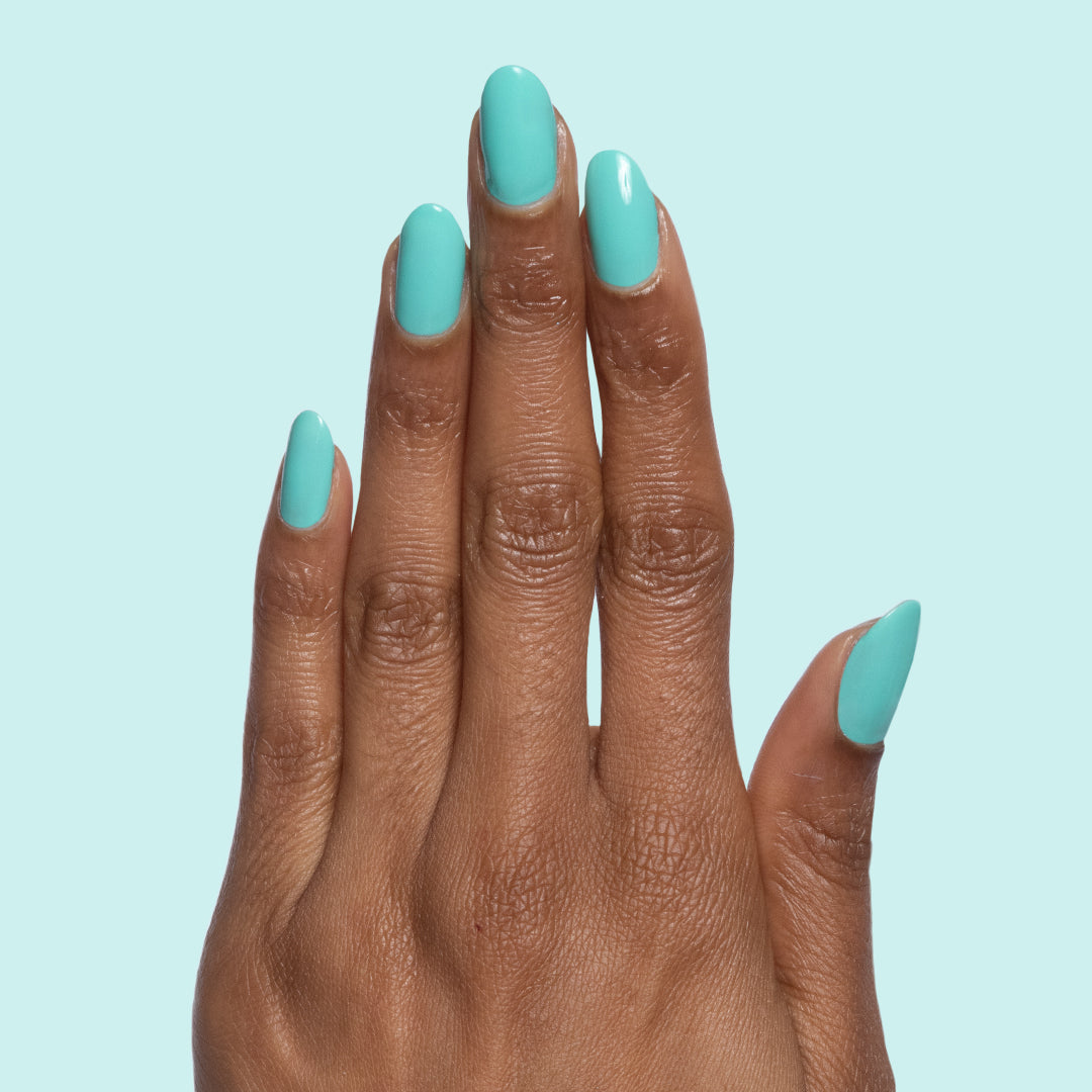 Parakeet、mySite、solidvoid