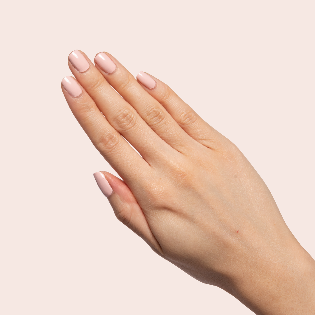 Pointe、mySite、solidvoid