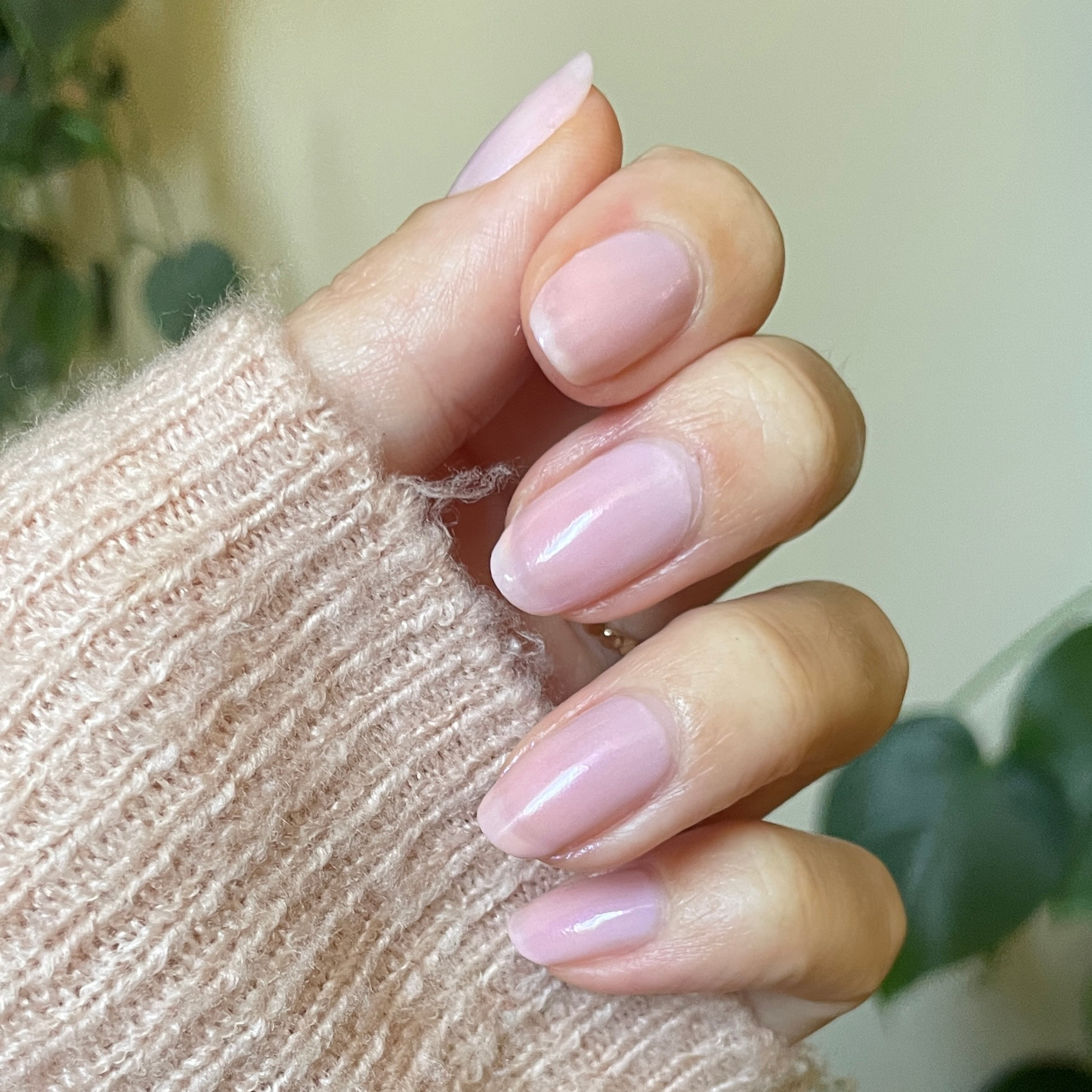 Kiss of Chrome、mySite、solidvoid