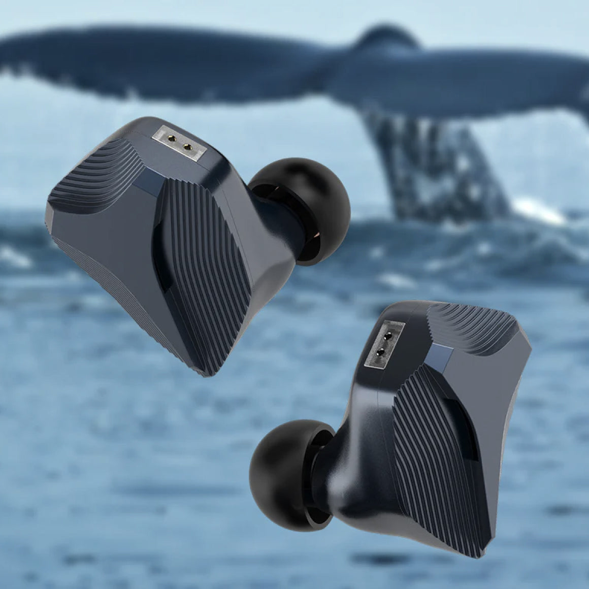  Hidizs - MP145、mySite、merchandisen