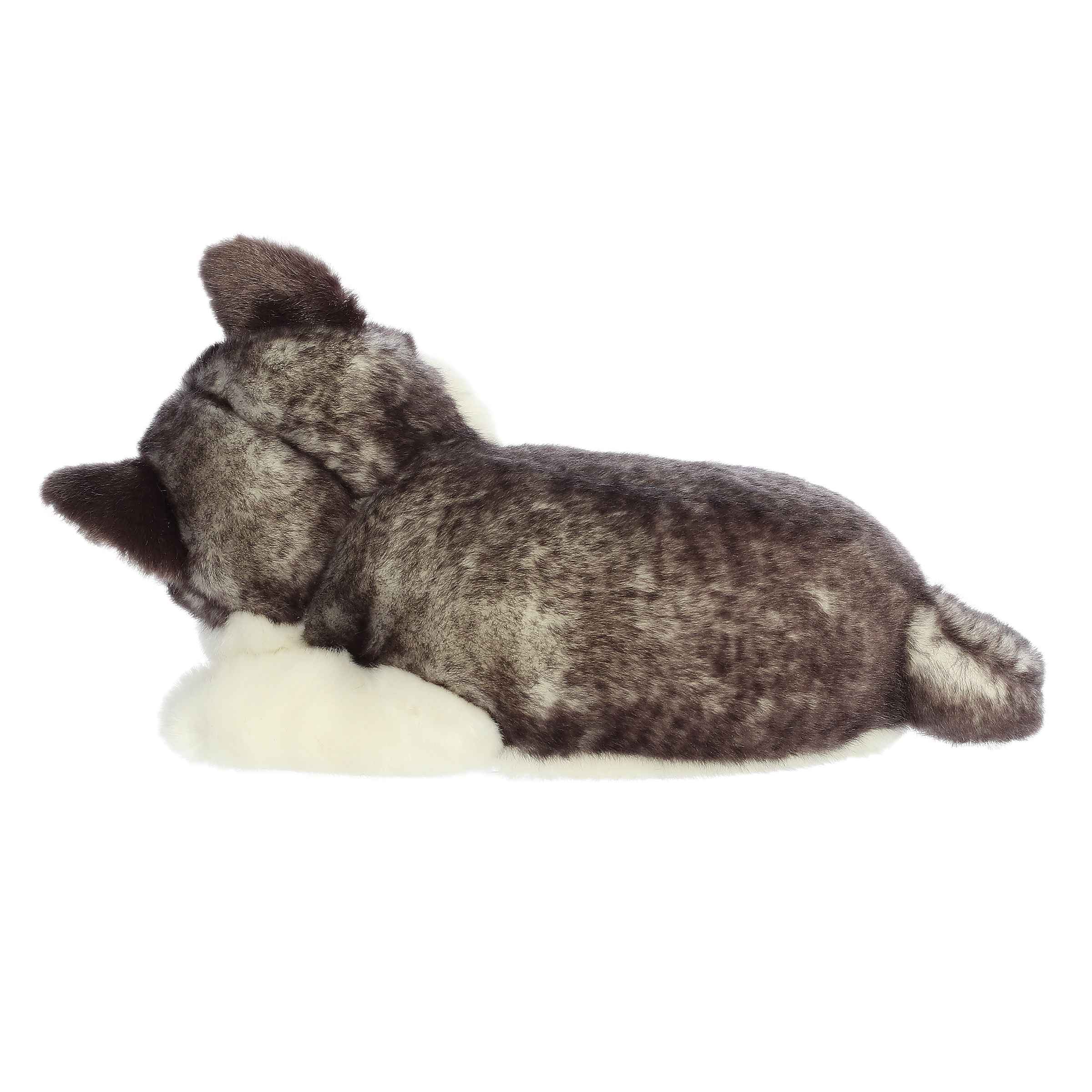 Aurora® - Miyoni® Tots - 10 Sleepy Husky Pup、mySite、g9winljtr