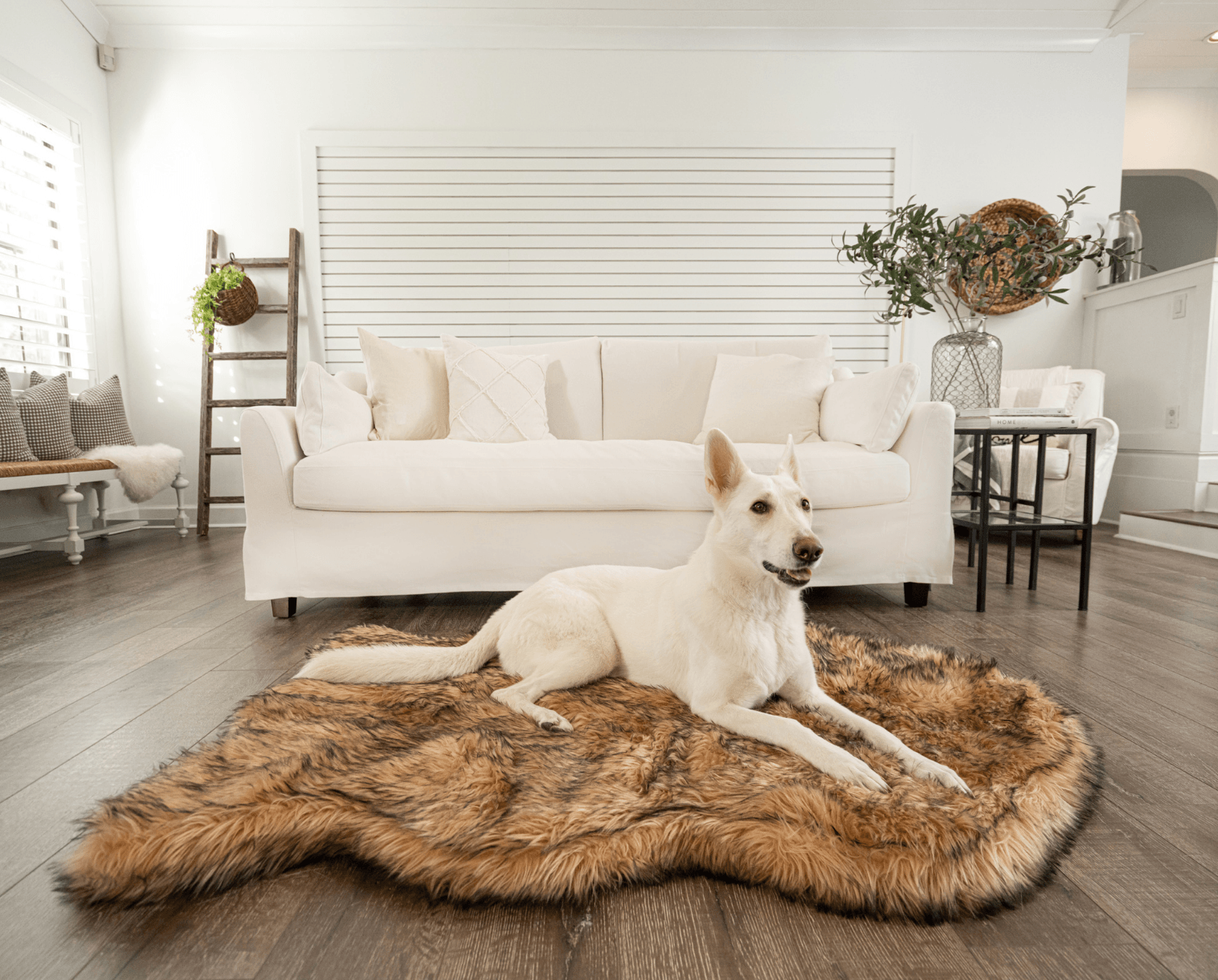 PupRug by Paw.com™ Faux Fur Orthopedic Dog Bed - Curve Sable Tan、mySite、solidvoid
