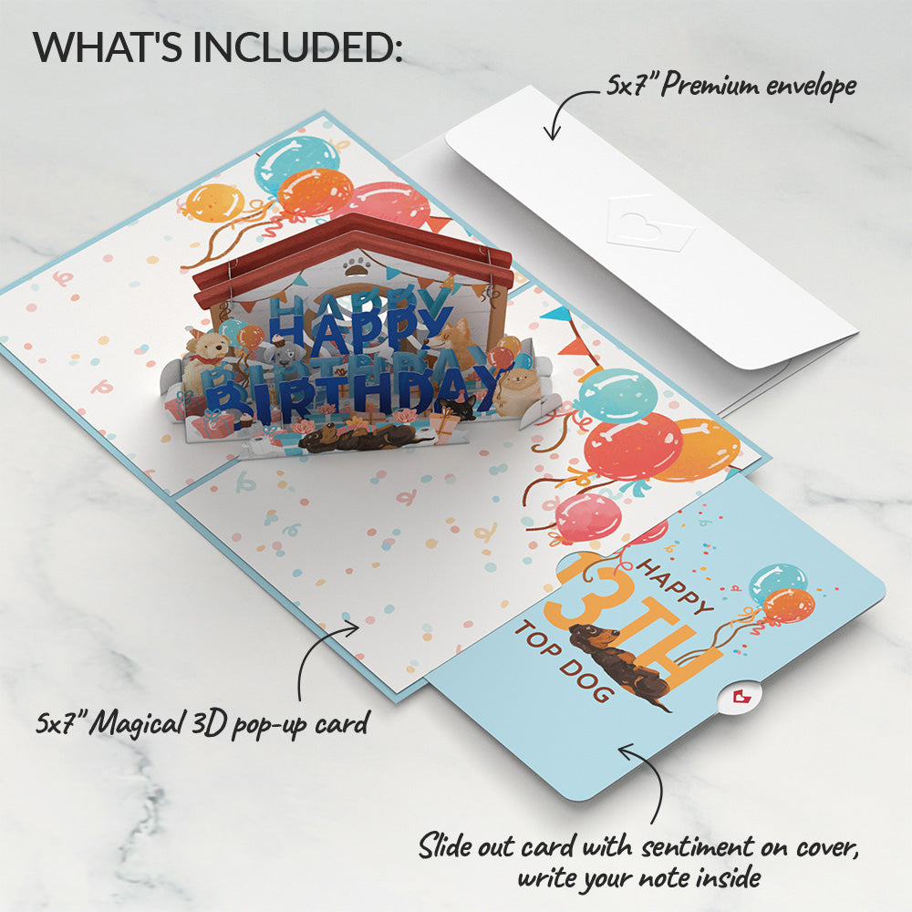Happy 13th Birthday Dogs Pop-Up Card and Sentiment Set、mySite、solidvoid