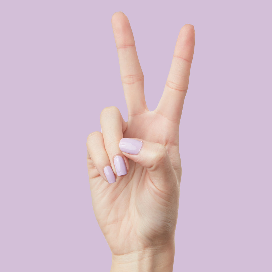 The Spring Set 2022、mySite、solidvoid