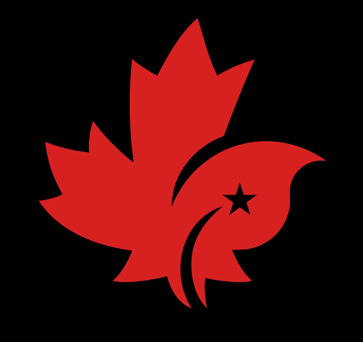 CDNIS EY PE Shorts、mySite、g9winljtr