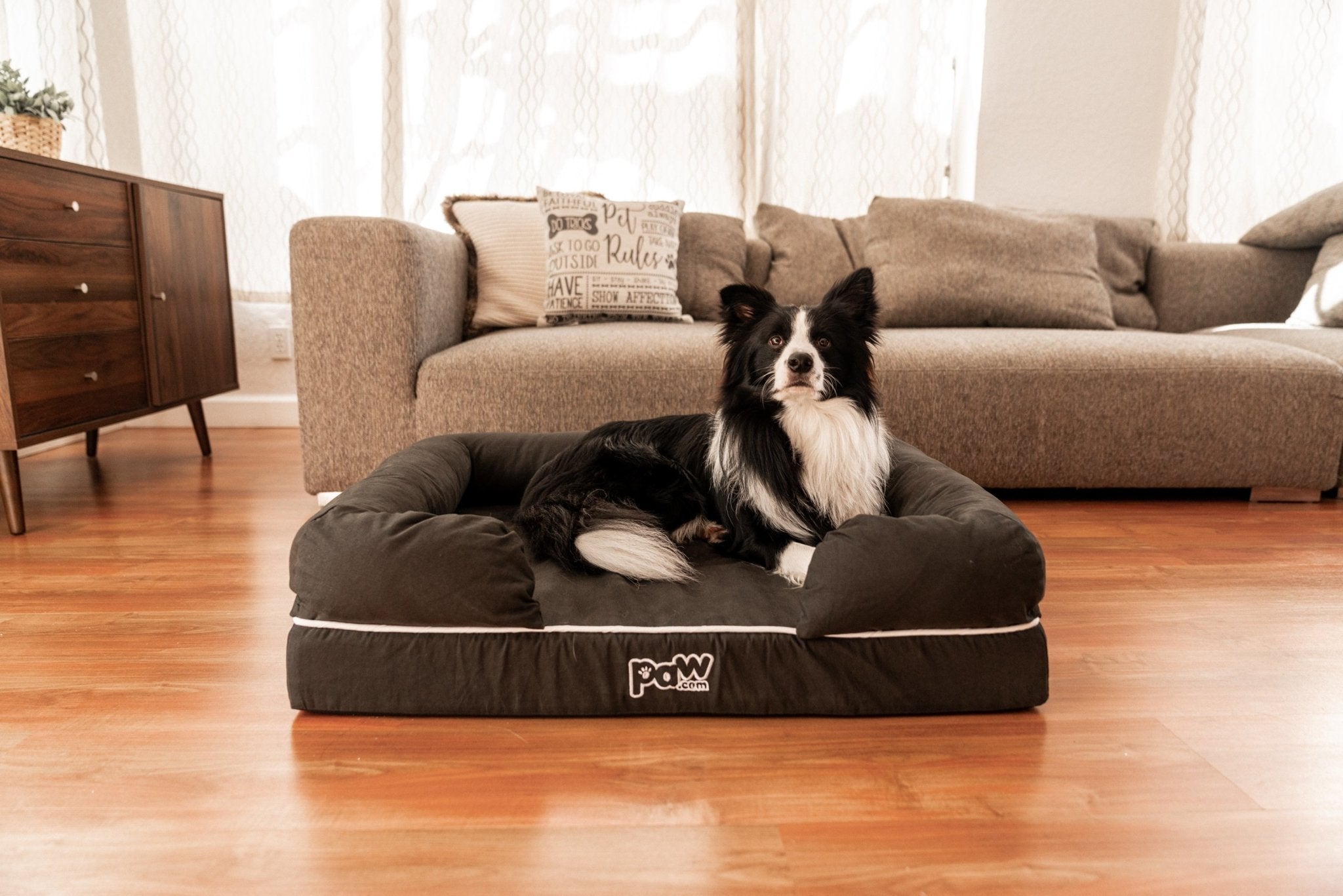PupLounge™ Memory Foam Dog Bed Cover - Charcoal Grey (Bed Not Included) - Small、mySite、solidvoid