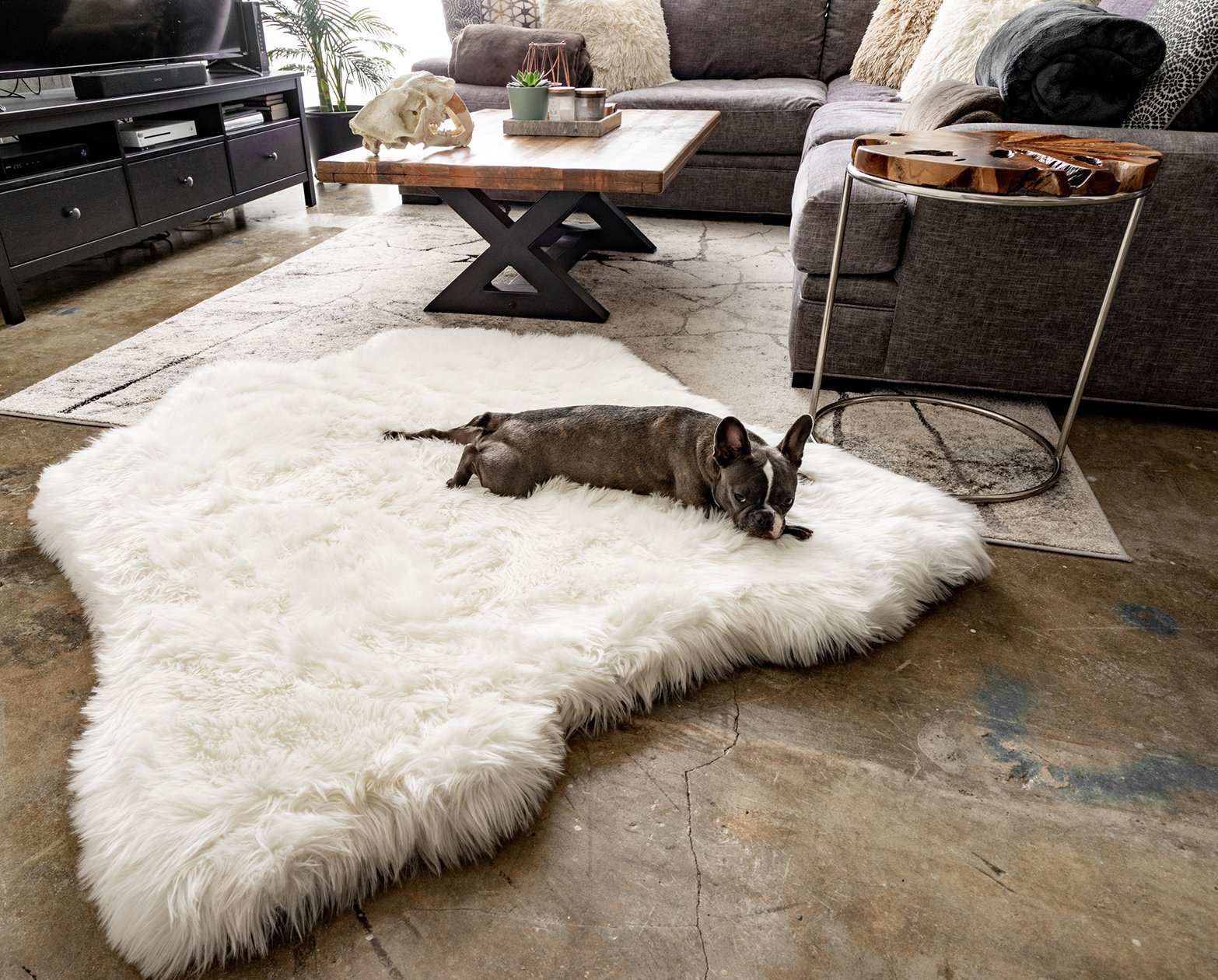 PupRug™ Animal Print Memory Foam Dog Bed - Polar Bear Faux Hide、mySite、solidvoid