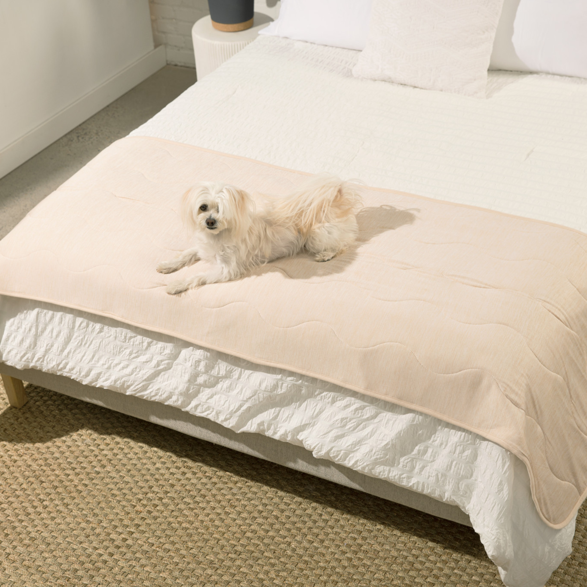 PupChill™ Cooling Waterproof Runner Blanket - Arctic Sand、mySite、solidvoid