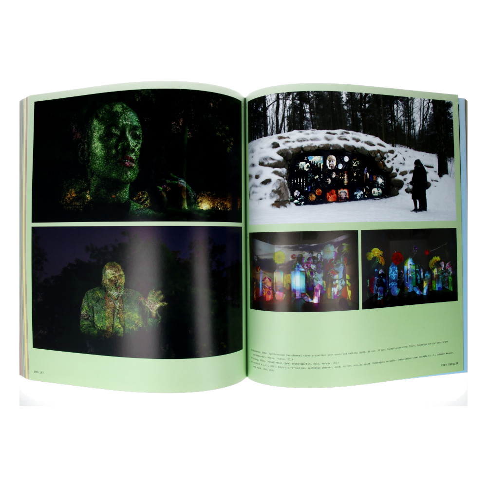  Vitamin V - Video and the Moving Image in Contemporary Art、mySite、greenlandpopulation