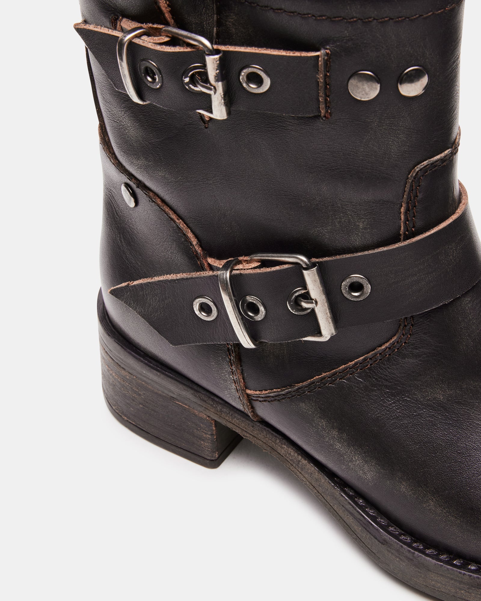 RAMPANT BROWN DISTRESSED - SM REBOOTED、mySite、gtrtttuynbv