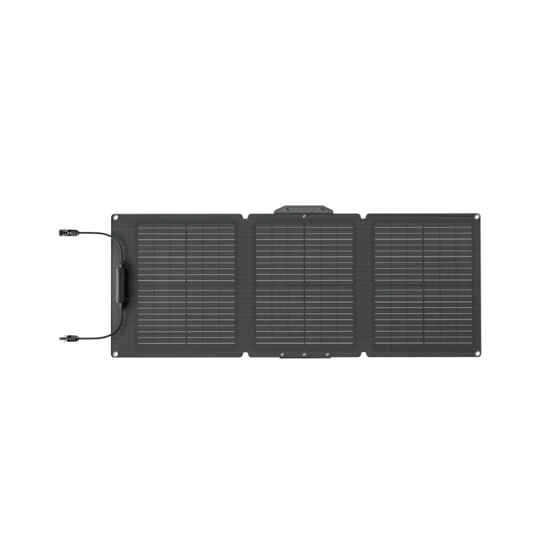 Ecoflow Painel Solar 60W (Tipo-C) - Painel Solar Portátil e Dobrável、mySite、fannypackpong