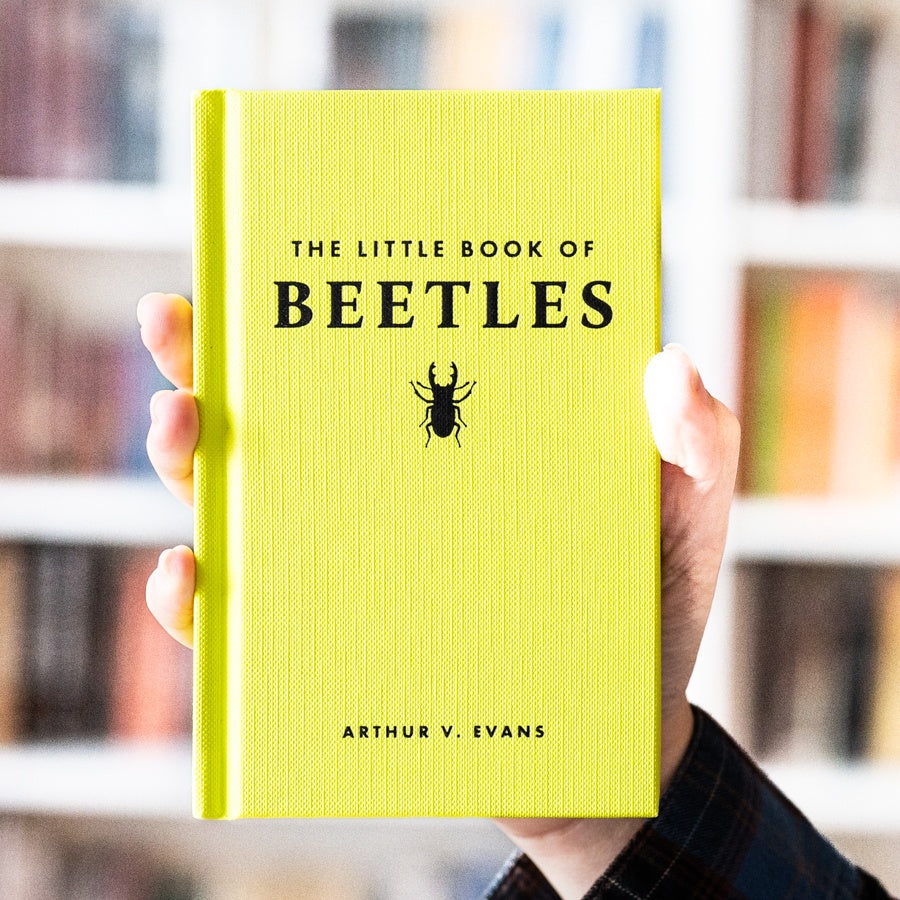 The Little Book of Beetles、mySite、topwebapps