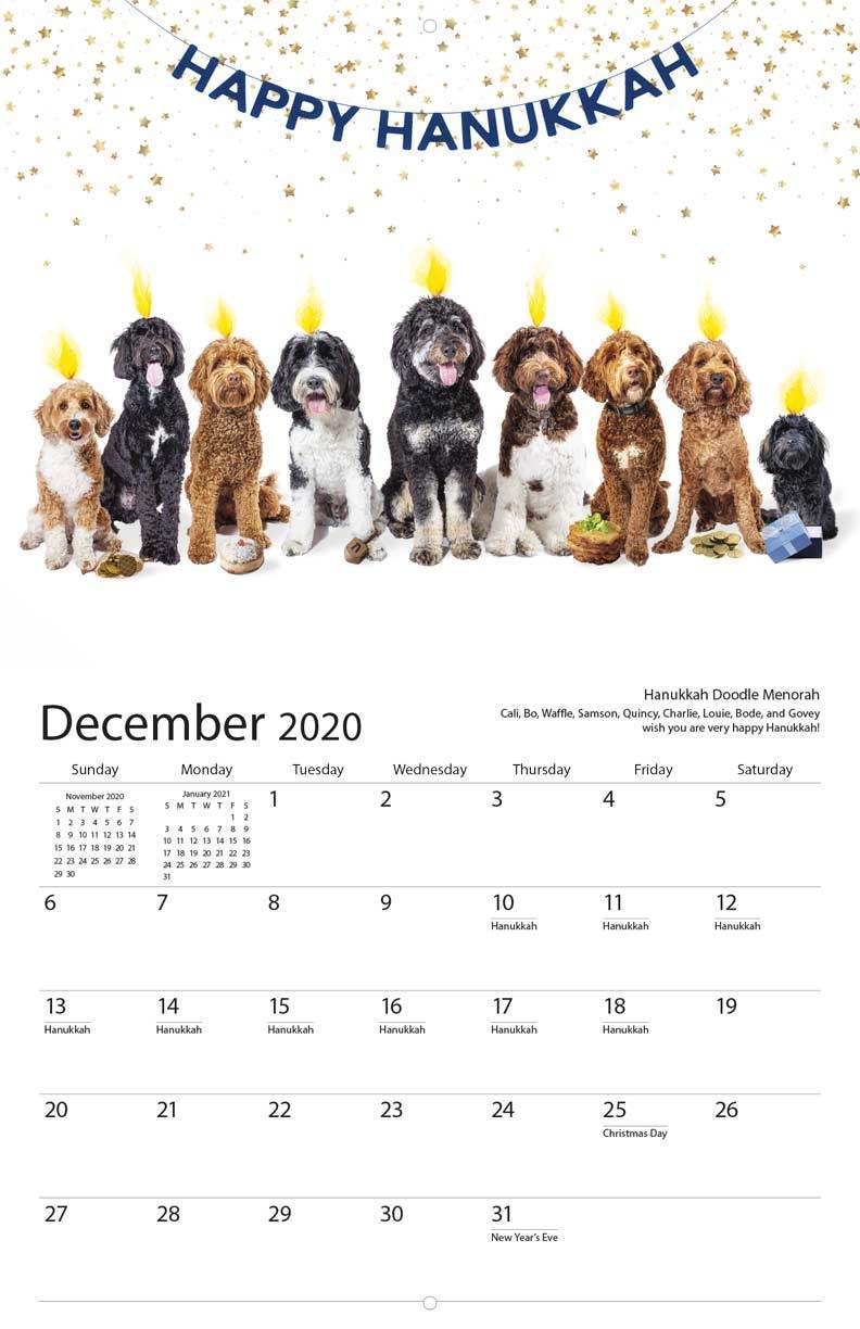 Nice Jewish Dogs Calendar 2020、mySite、topwebapps