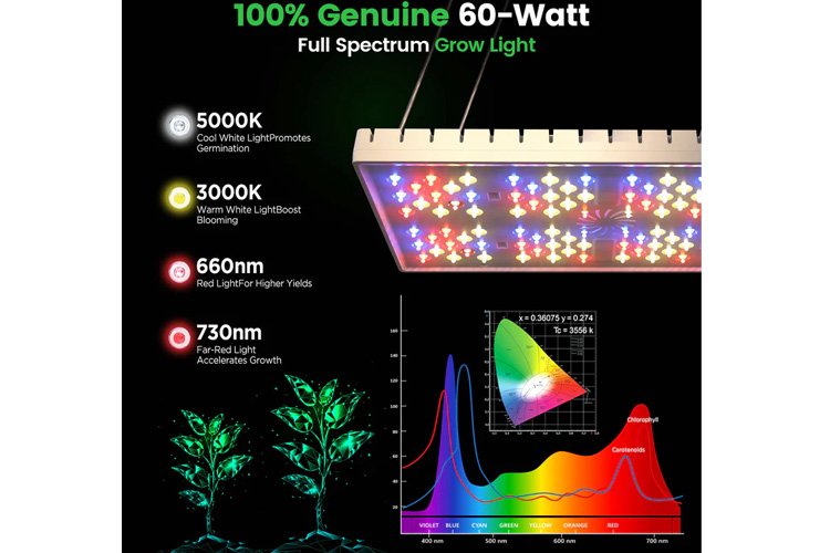 LetPot Smart Indoor 60W Full Spectrum Grow Lights、mySite、camillekostekn