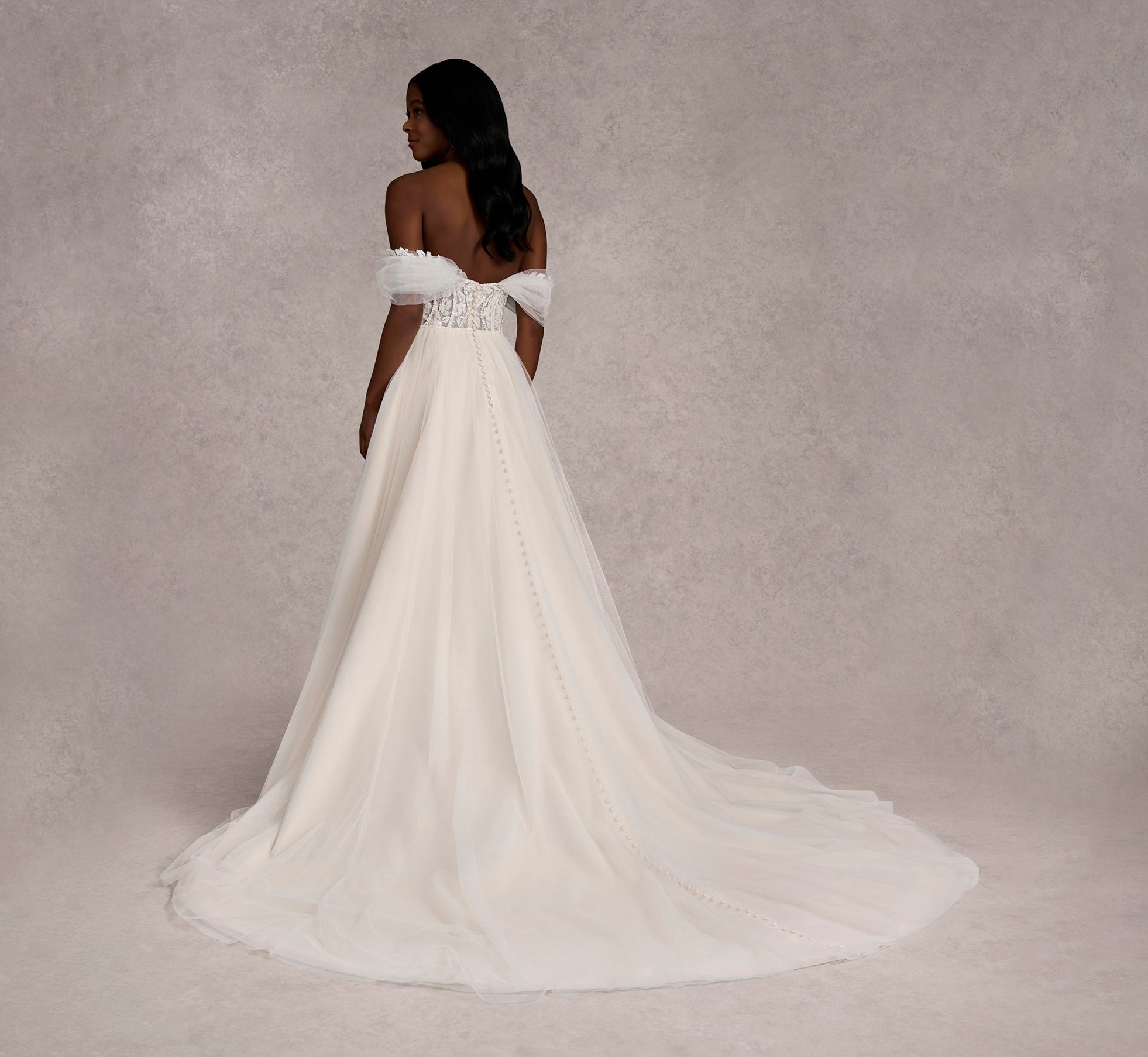 Beaded Lace And Tulle A-Line Gown In Ivory/Rumpink/Nude In Ivory Rumpink Nude、mySite、solidvoid