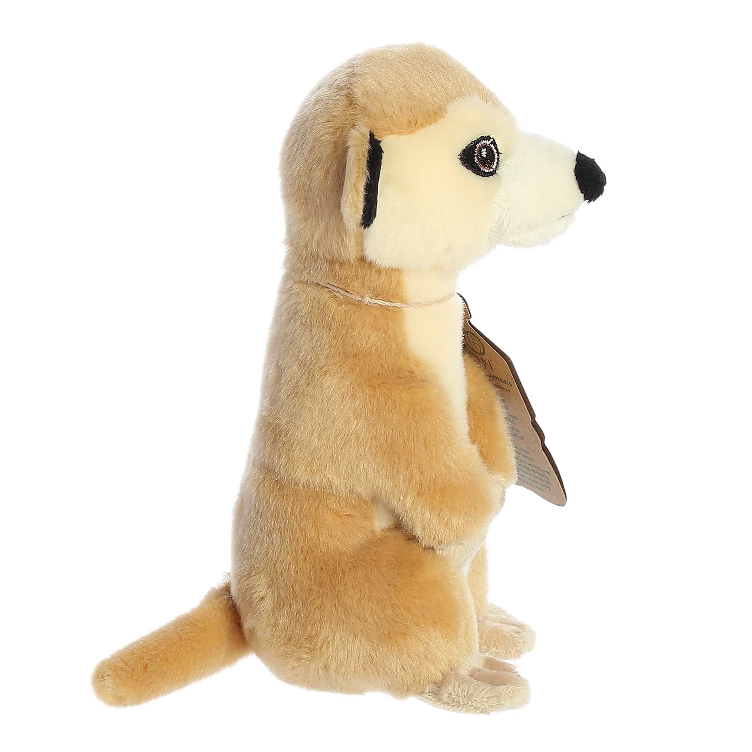 Aurora® - Eco Nation™ - Eco Softies™ - 8 Meerkat、mySite、g9winljtr