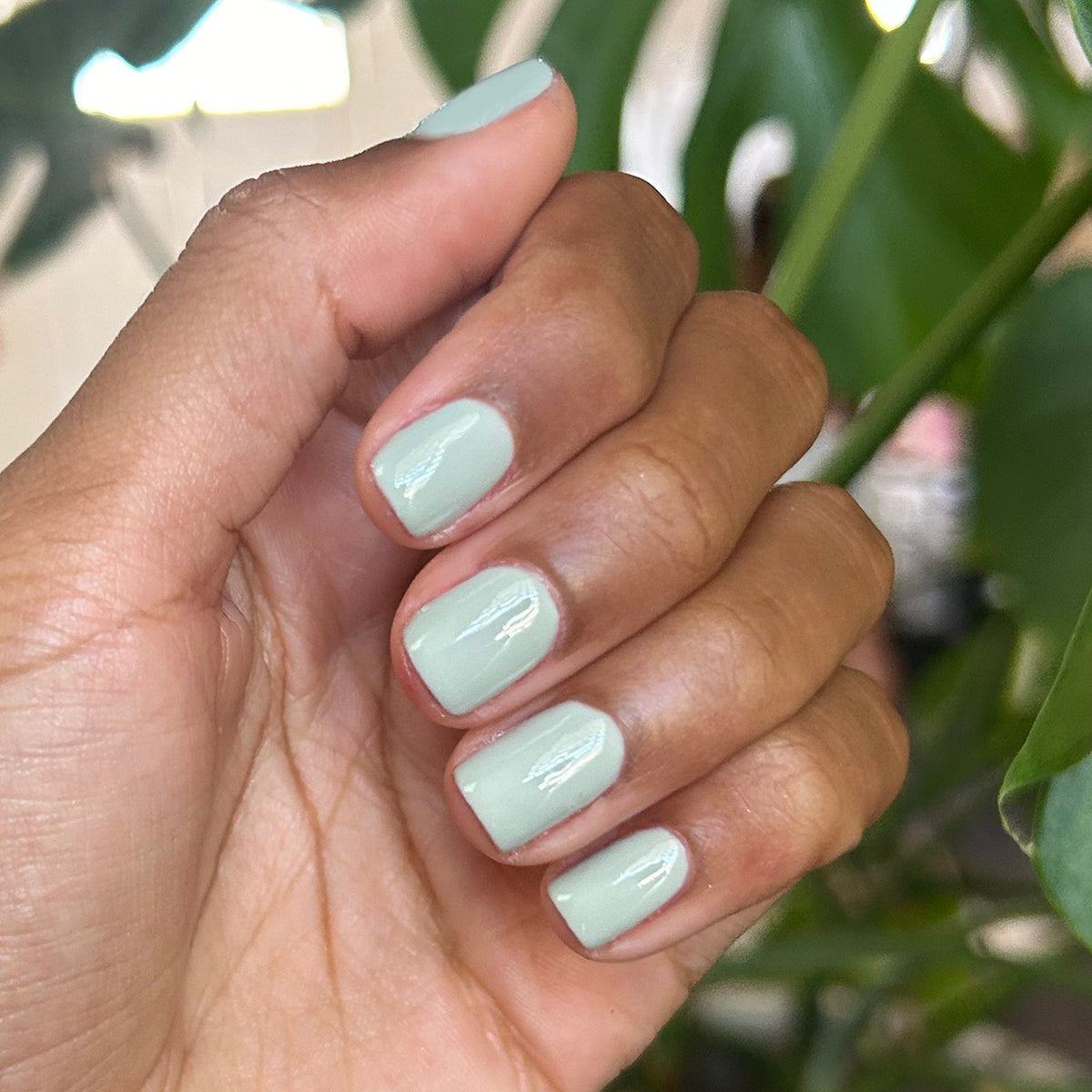 KMC - Gel、mySite、solidvoid