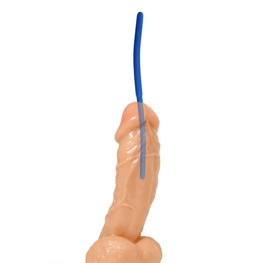 8 Inch Invasion Blue Silicone Urethral Sound Trainer Set for Men、mySite、bottomscart