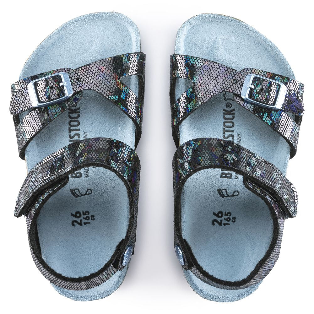 Colorado Kids Synthetics、mySite、gtrtttuynbv