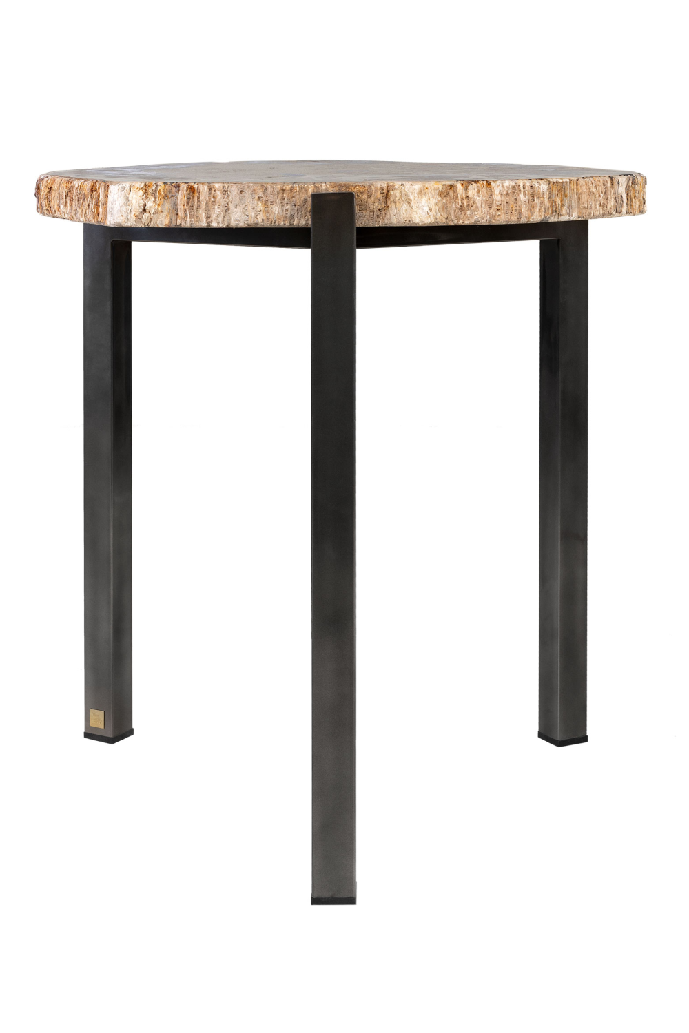 Petrified Wood Occasional Table | Versmissen、mySite、neckold