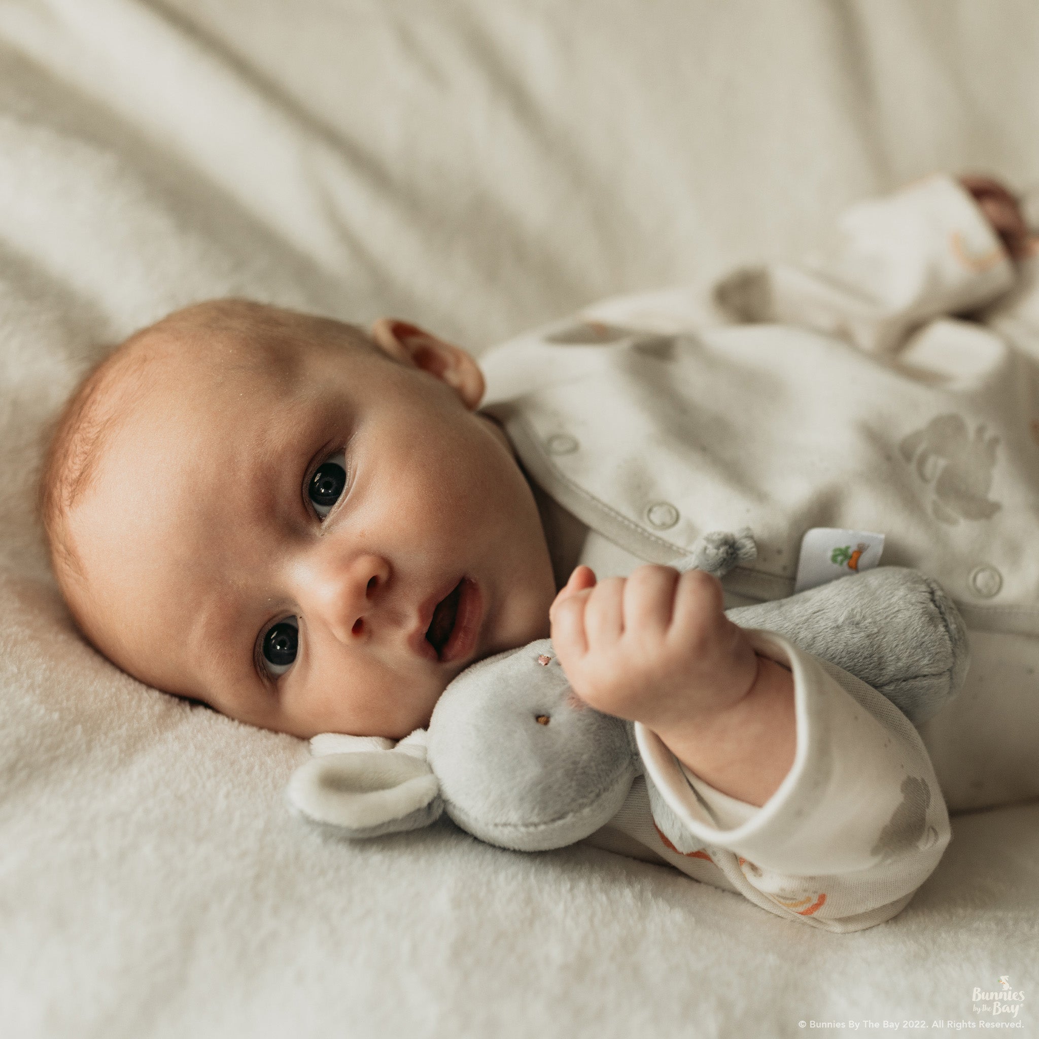 Glad Dreams Baby! Bloom Gift Set - Gray、mySite、g9winljtr