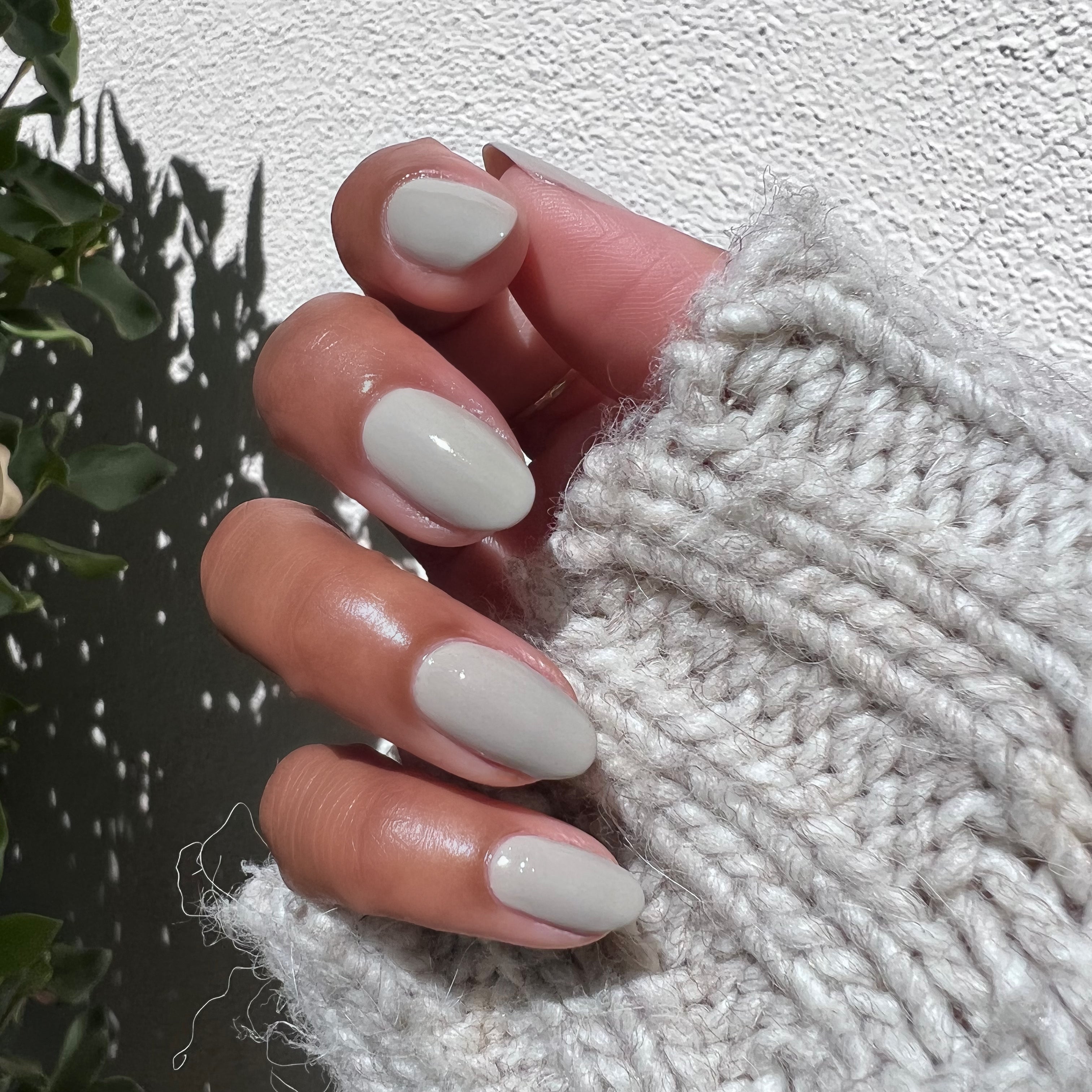 Koala、mySite、solidvoid