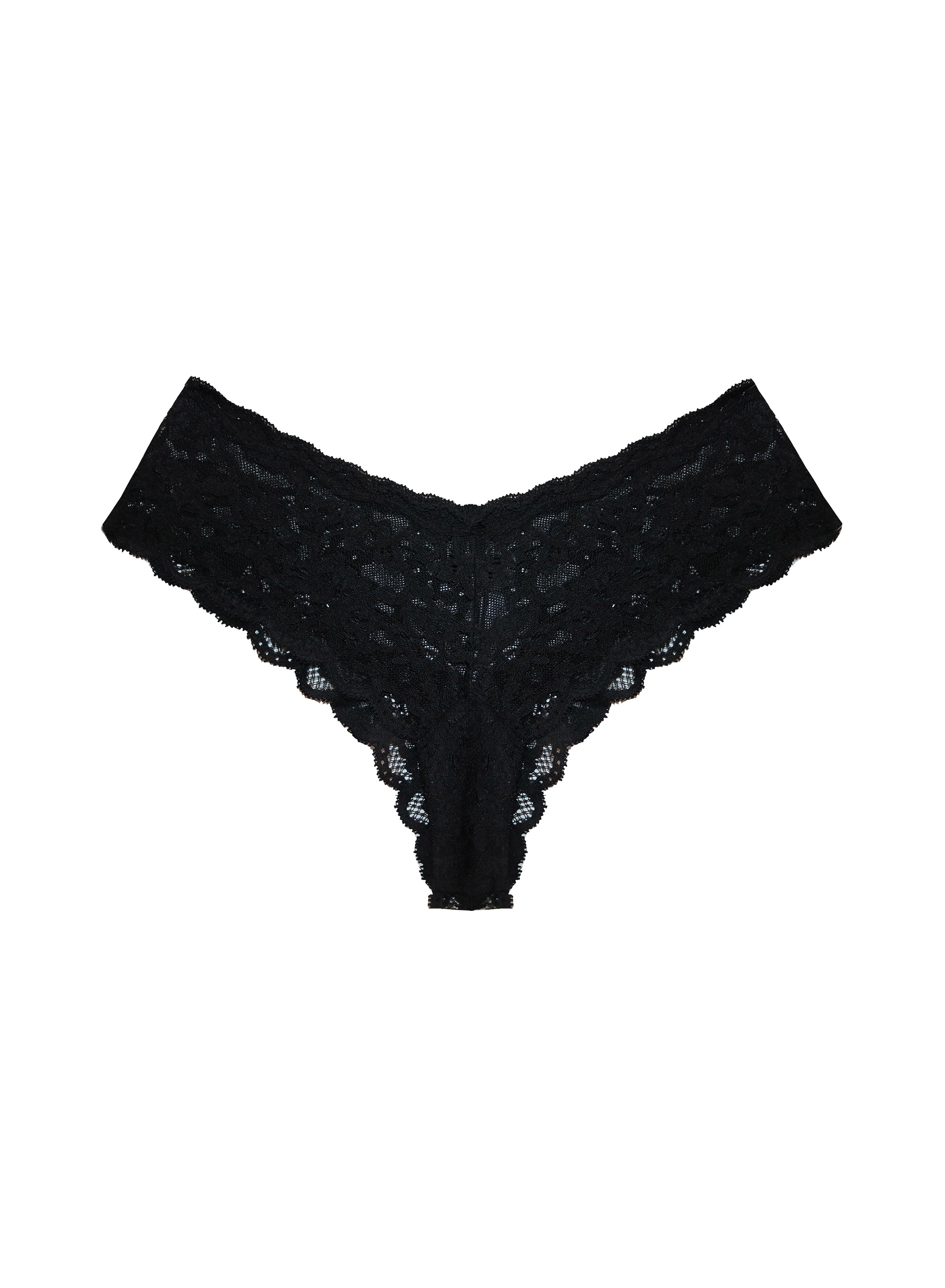 Charlotte Cheekini、mySite、bengalsvssteelers