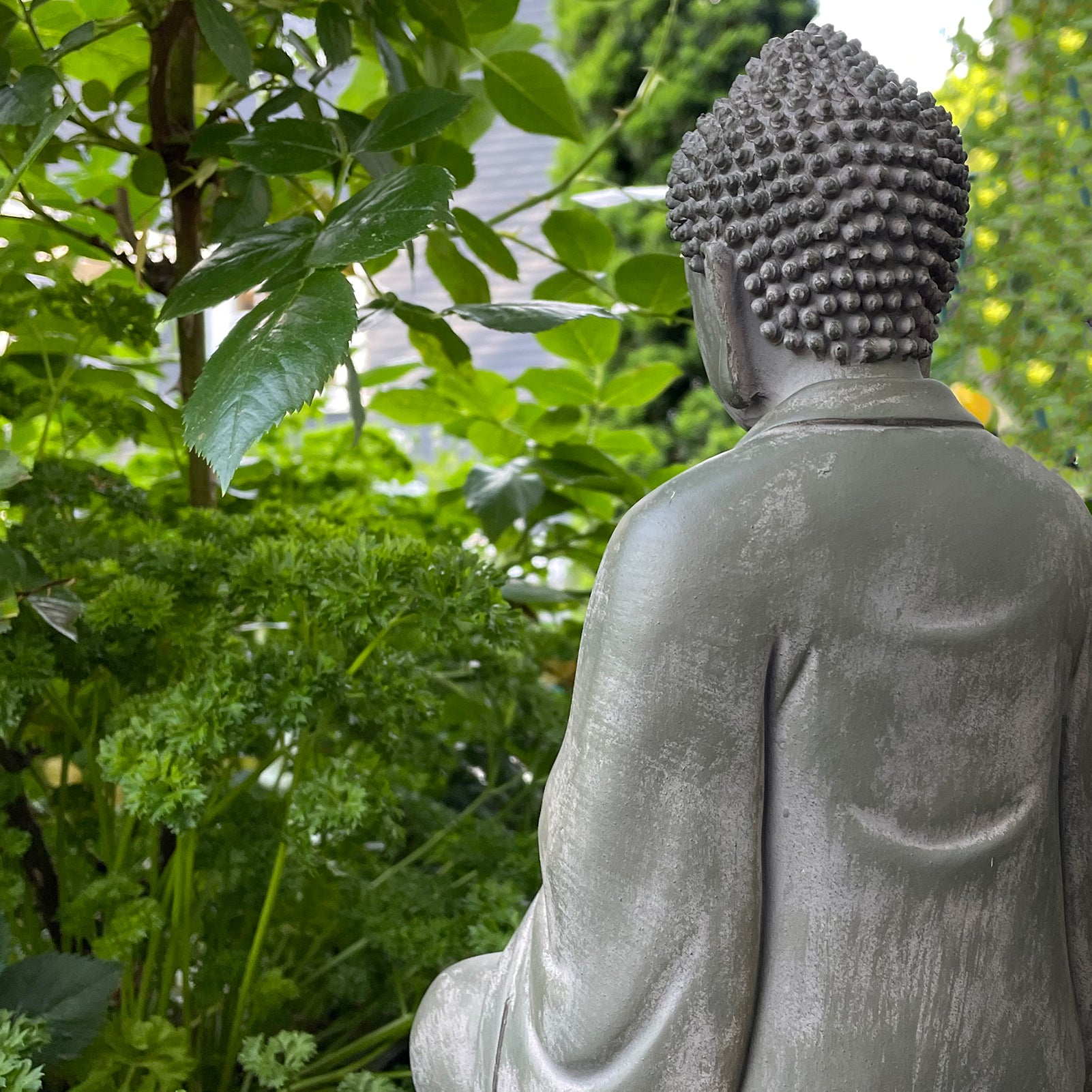 Calming Garden Buddha Statue、mySite、topwebapps