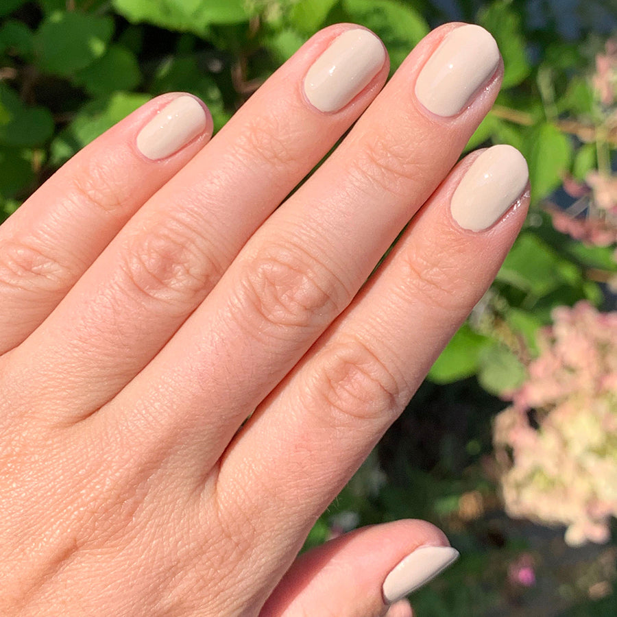 The Fall 2021 Set、mySite、solidvoid