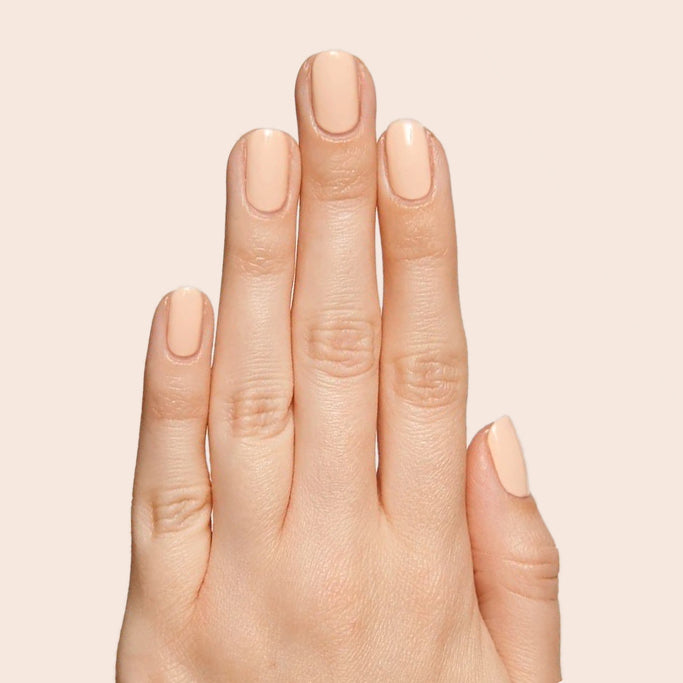 KAG、mySite、solidvoid